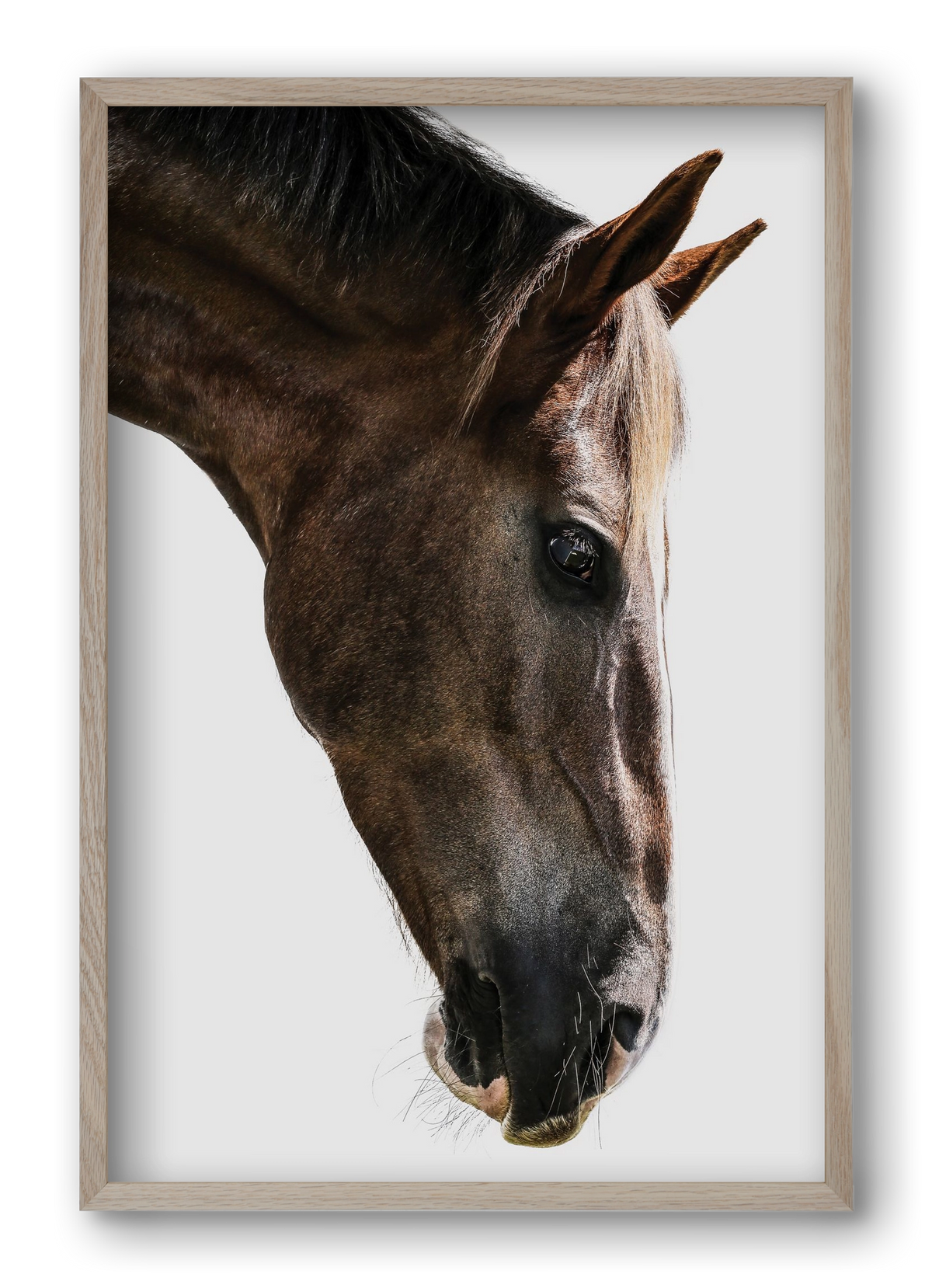 Kalimazoo, 40x60 cm (40x60 cm), Tölgy keret