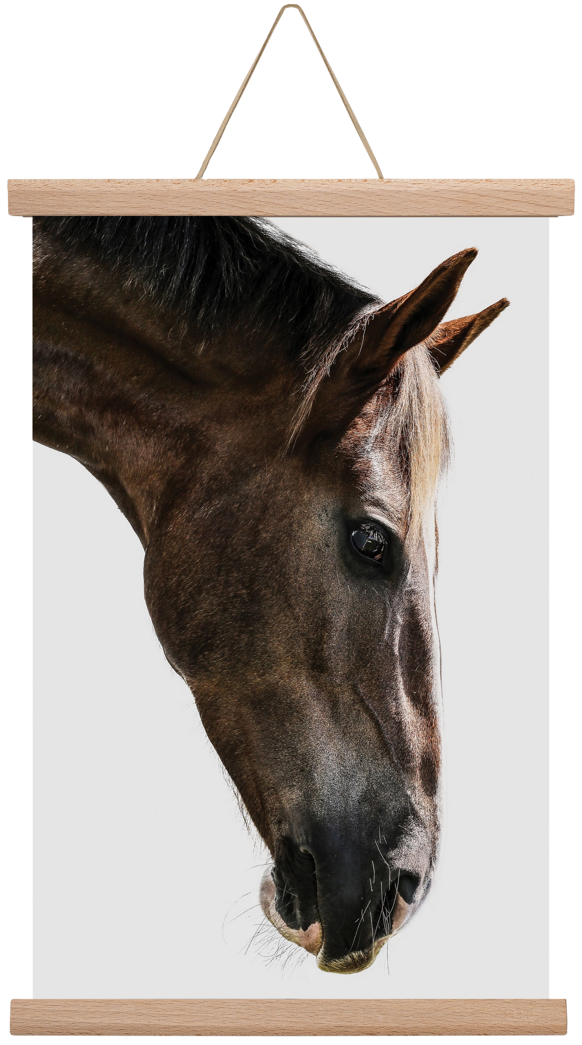 Kalimazoo, 30x45 cm (30x45 cm), Tölgy akasztó