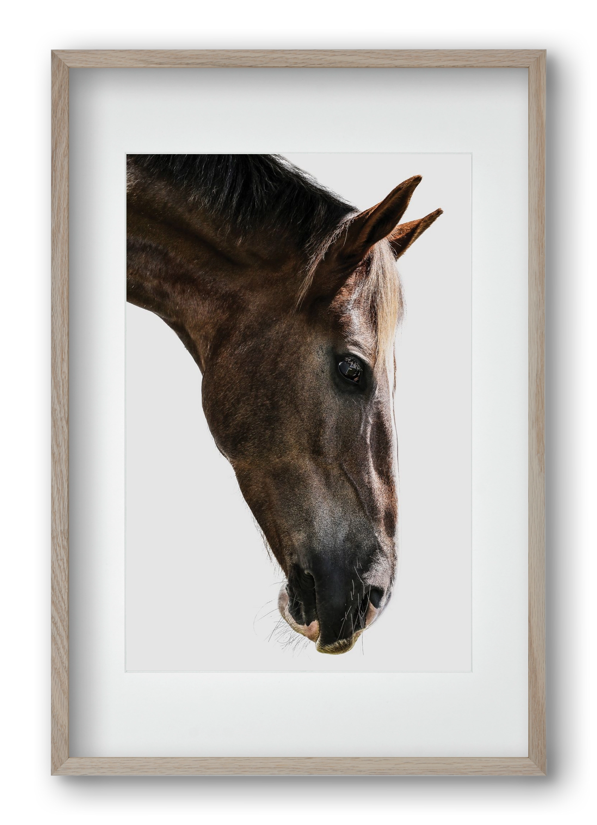 Kalimazoo, 40x60 cm (30x45 cm), Tölgy keret, paszpartuval