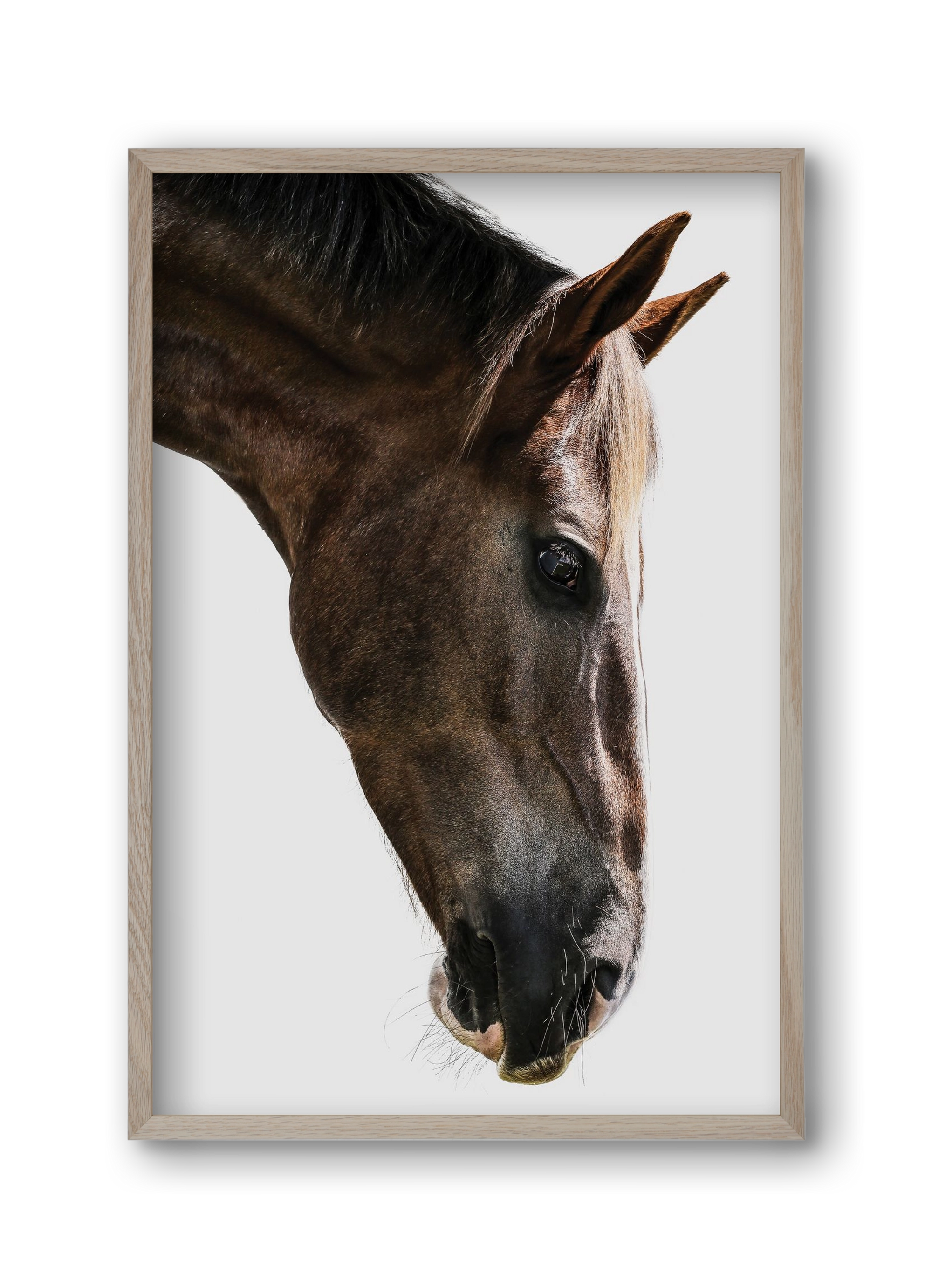 Kalimazoo, 30x45 cm (30x45 cm), Tölgy keret