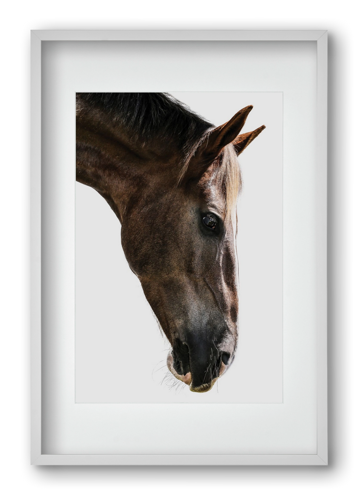 Kalimazoo, 40x60 cm (30x45 cm), Fehér keret, paszpartuval