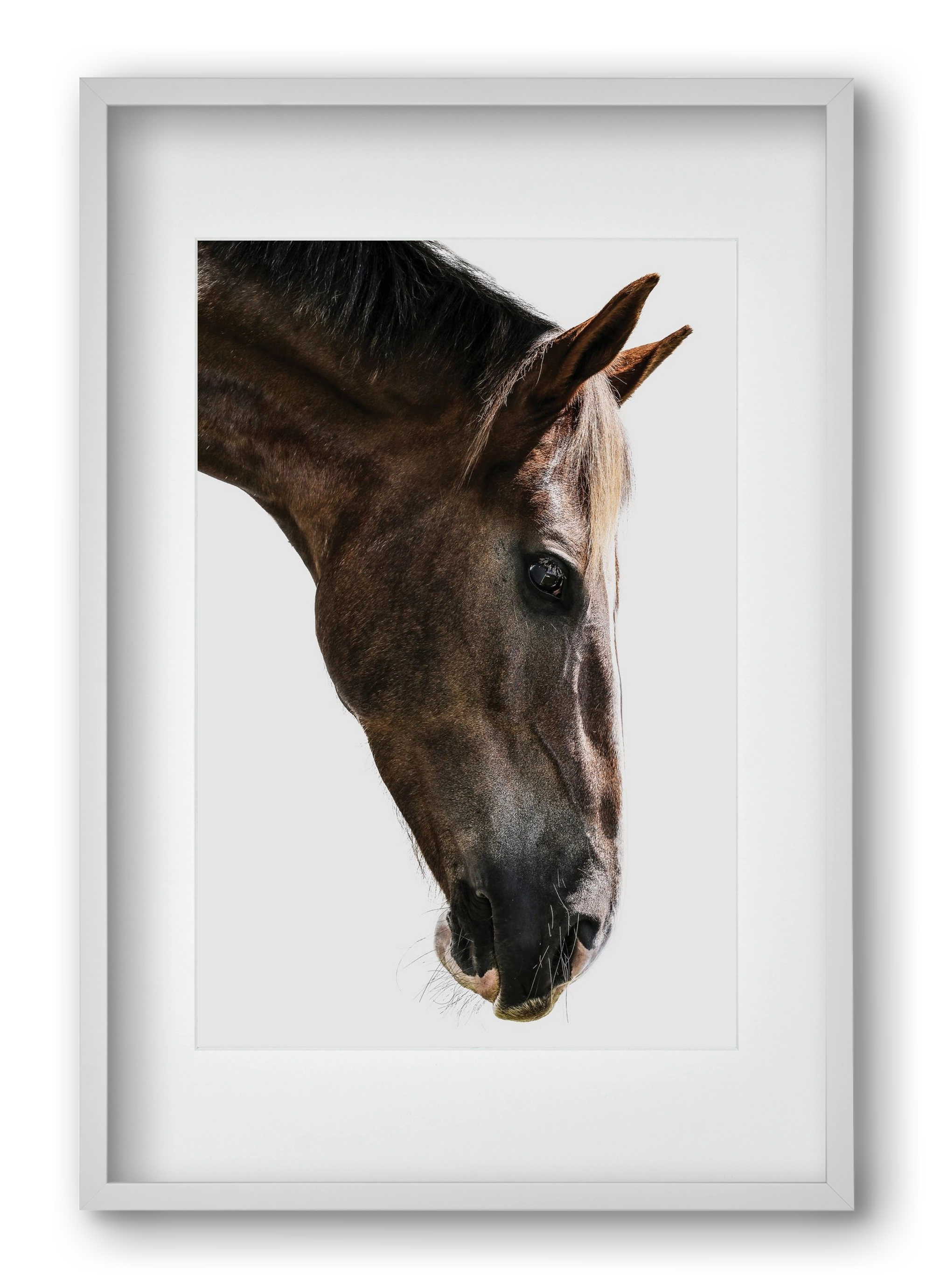 Kalimazoo, 40x60 cm (30x45 cm), Fehér keret, paszpartuval