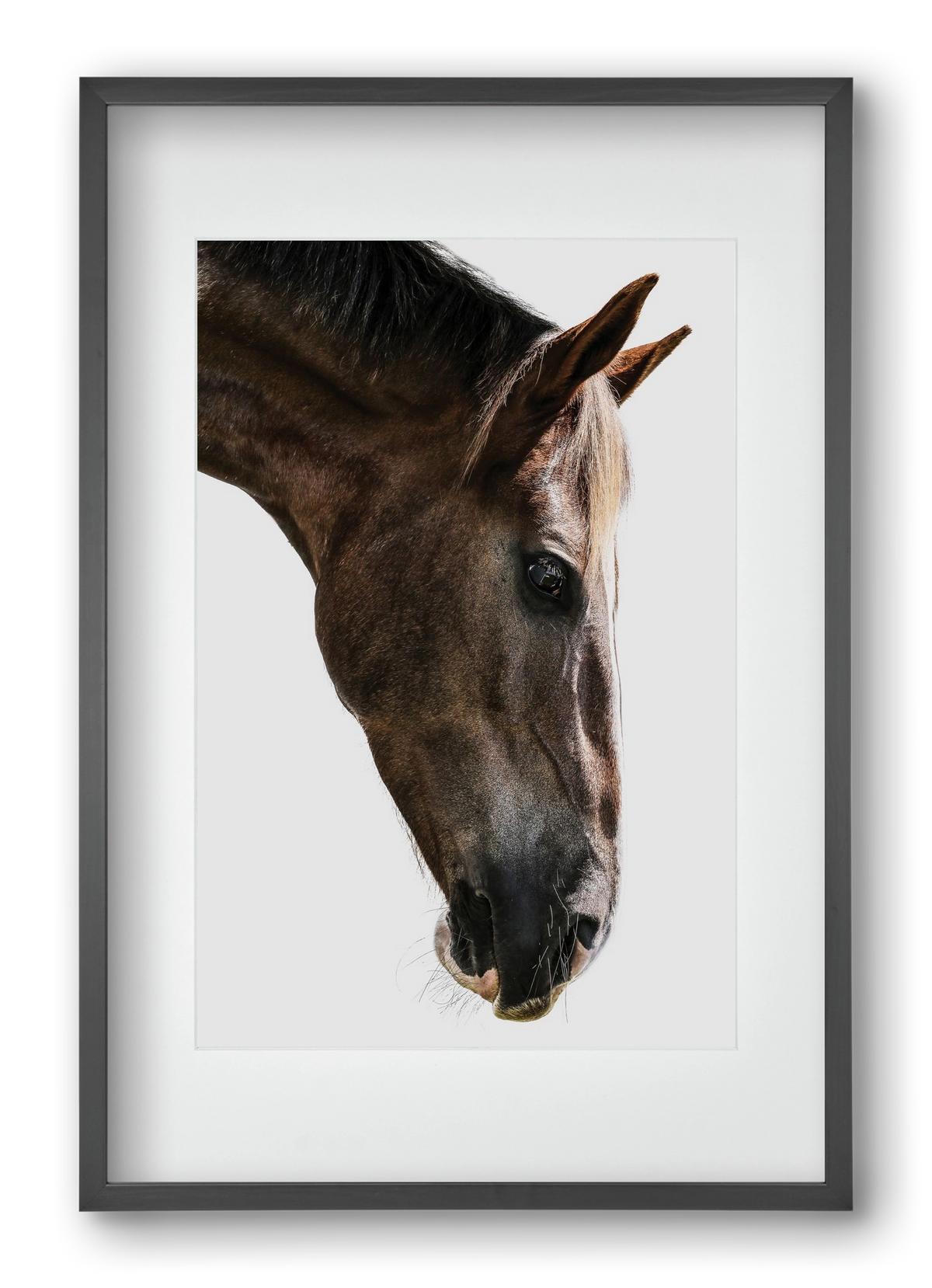 Kalimazoo, 40x60 cm (30x45 cm), Fekete keret, paszpartuval