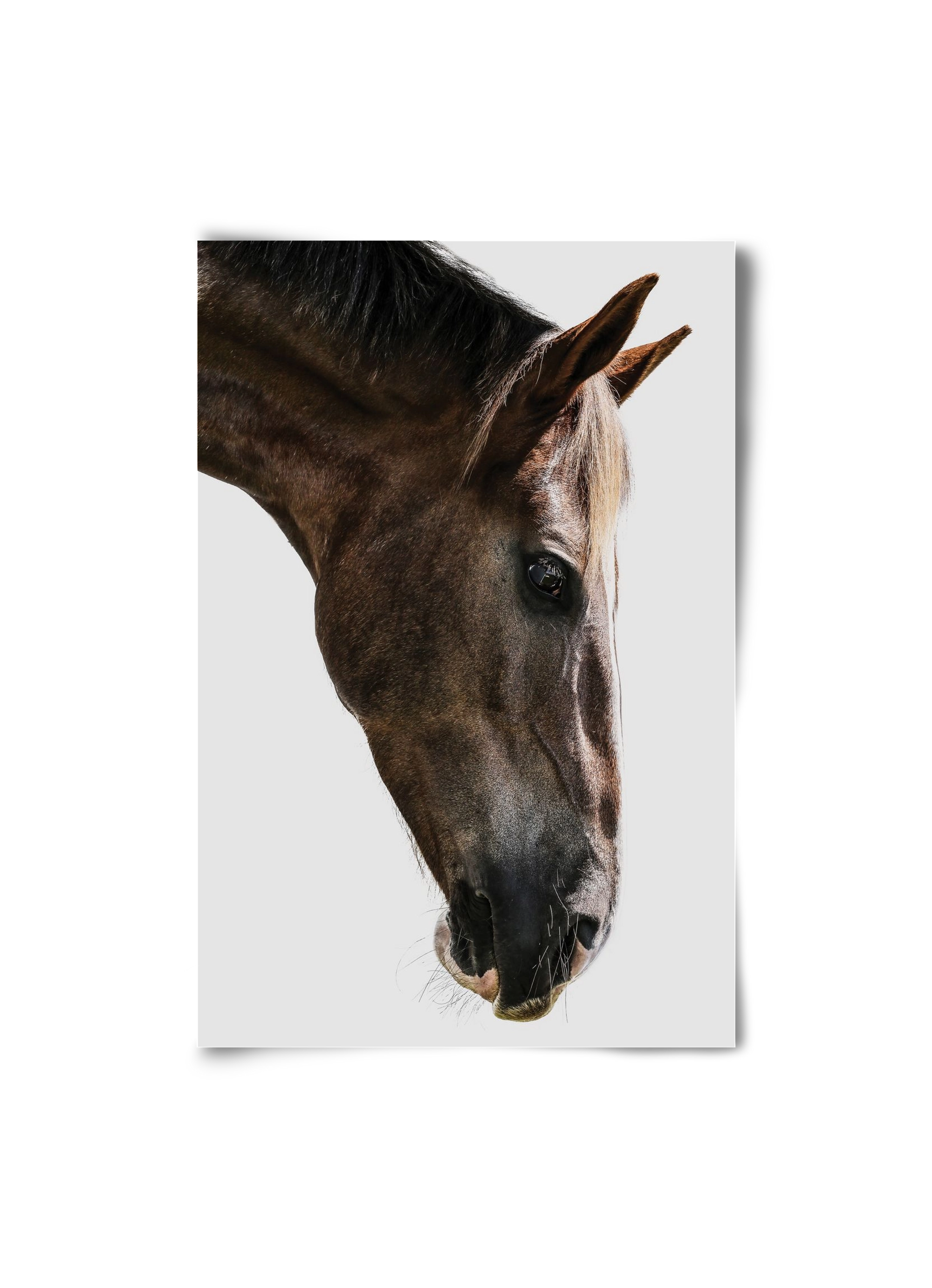 Kalimazoo, 20x30 cm, Keret nélkül