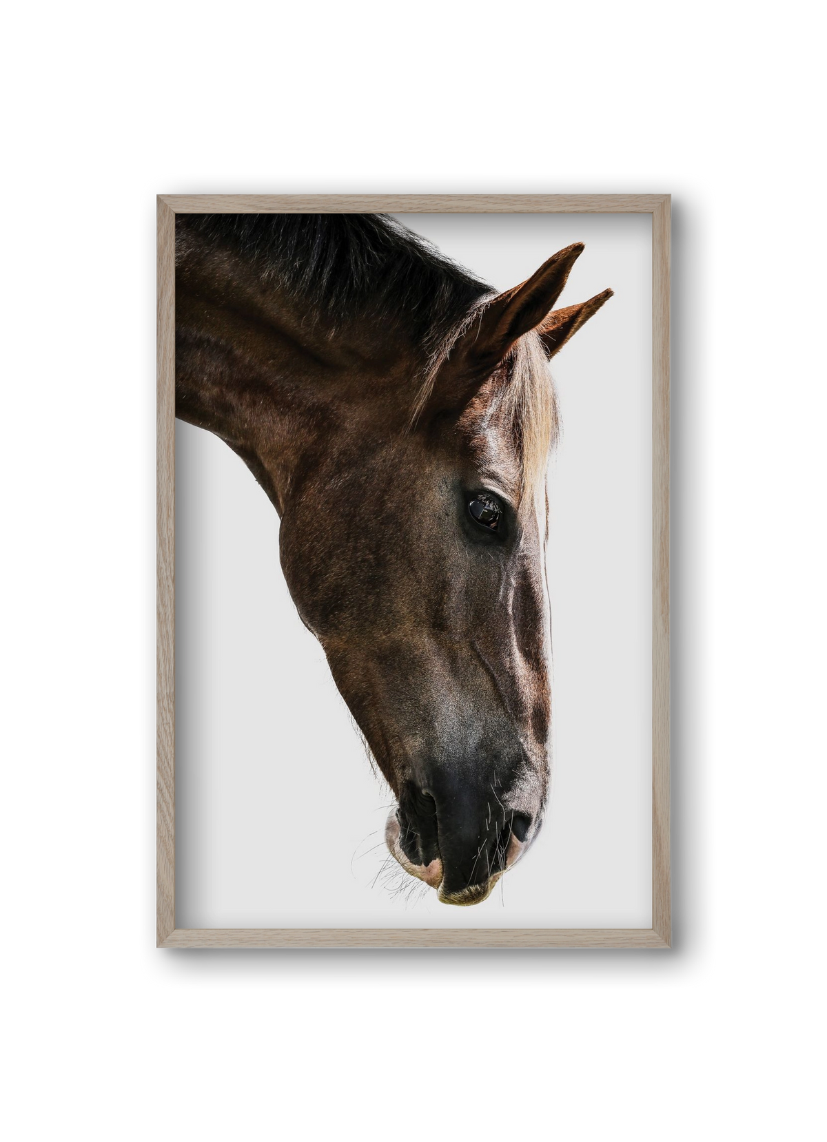 Kalimazoo, 20x30 cm (20x30 cm), Tölgy keret