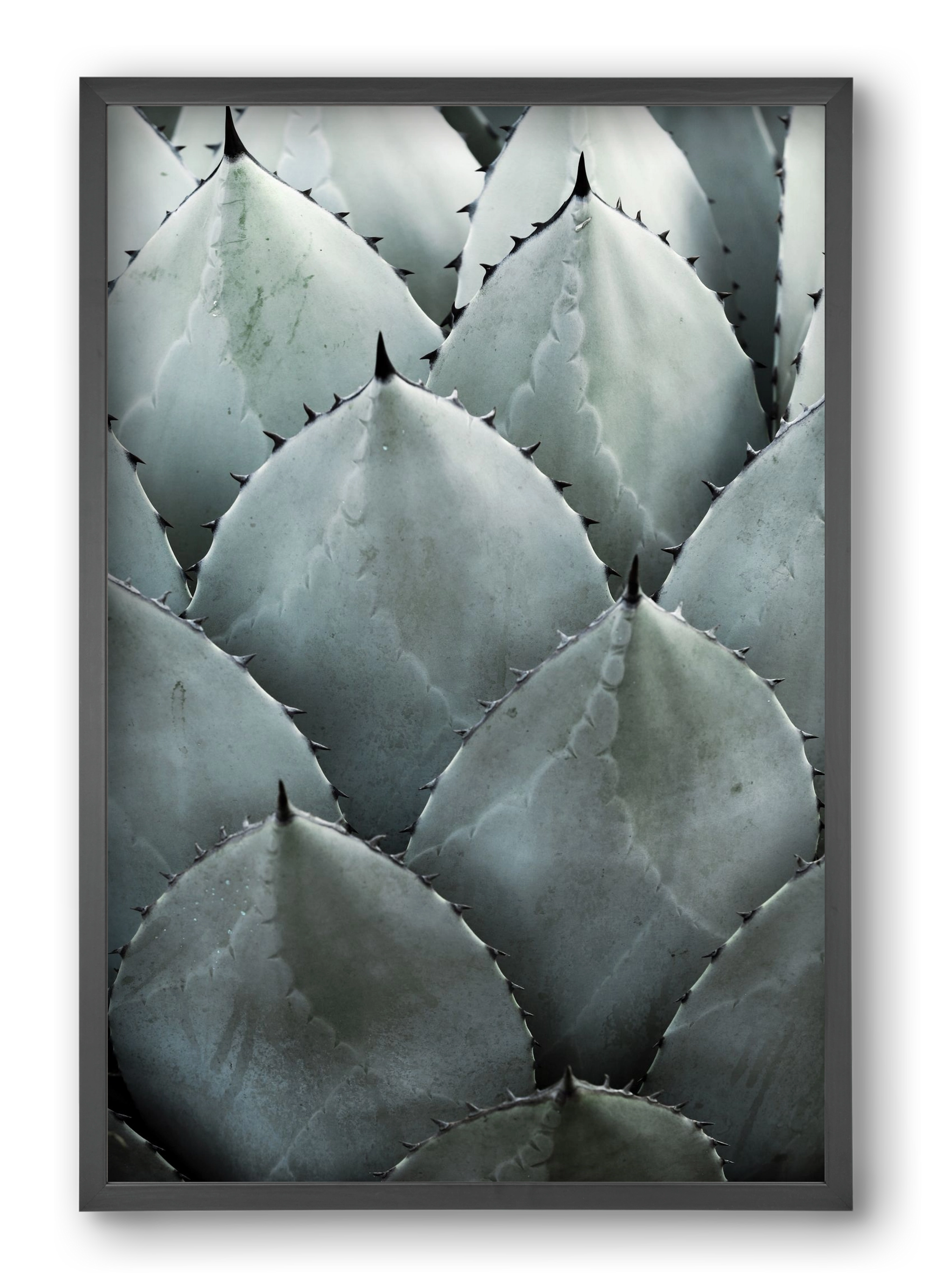 My mint moment, 40x60 cm (40x60 cm), Fekete keret