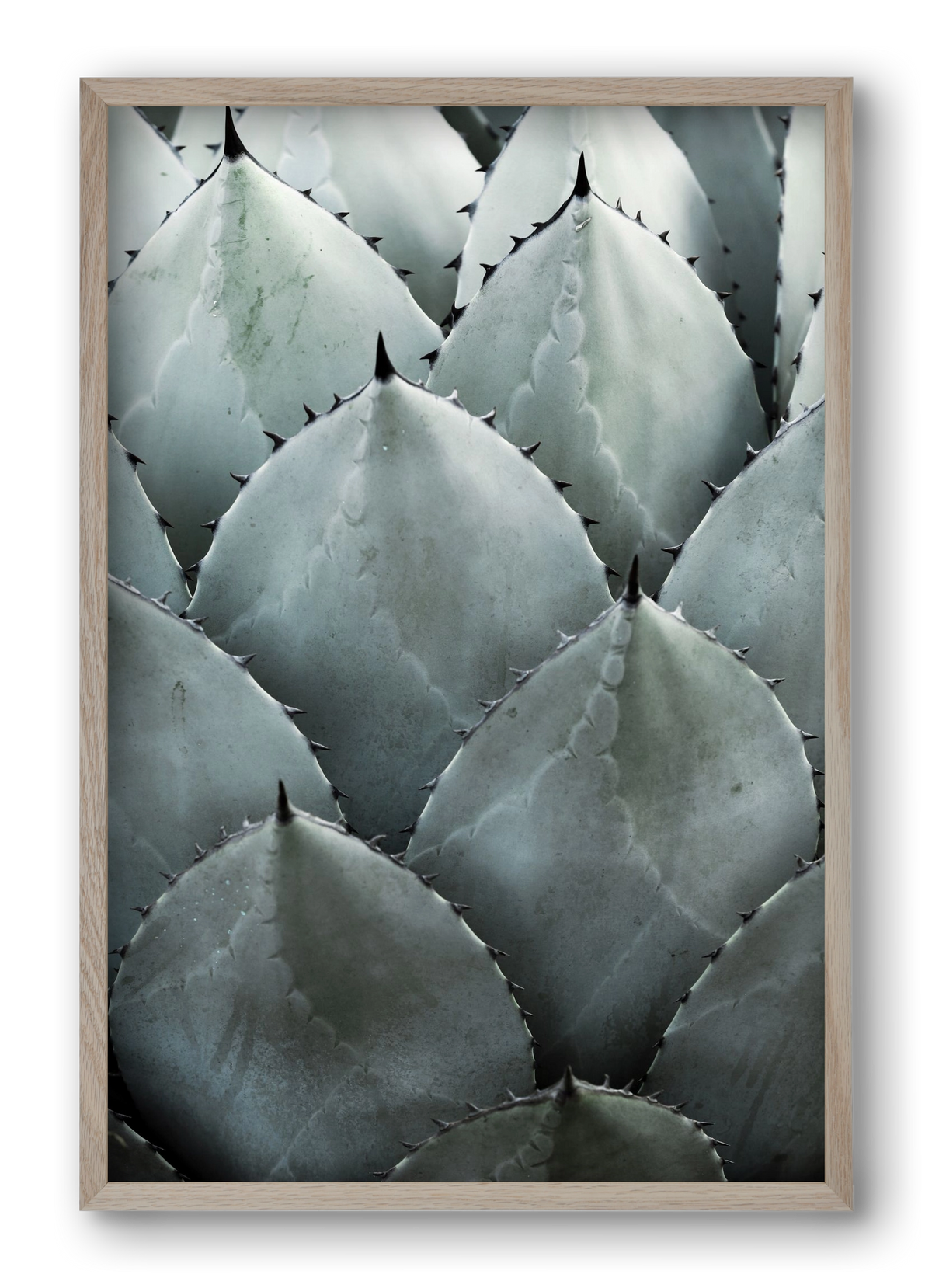 My mint moment, 40x60 cm (40x60 cm), Tölgy keret