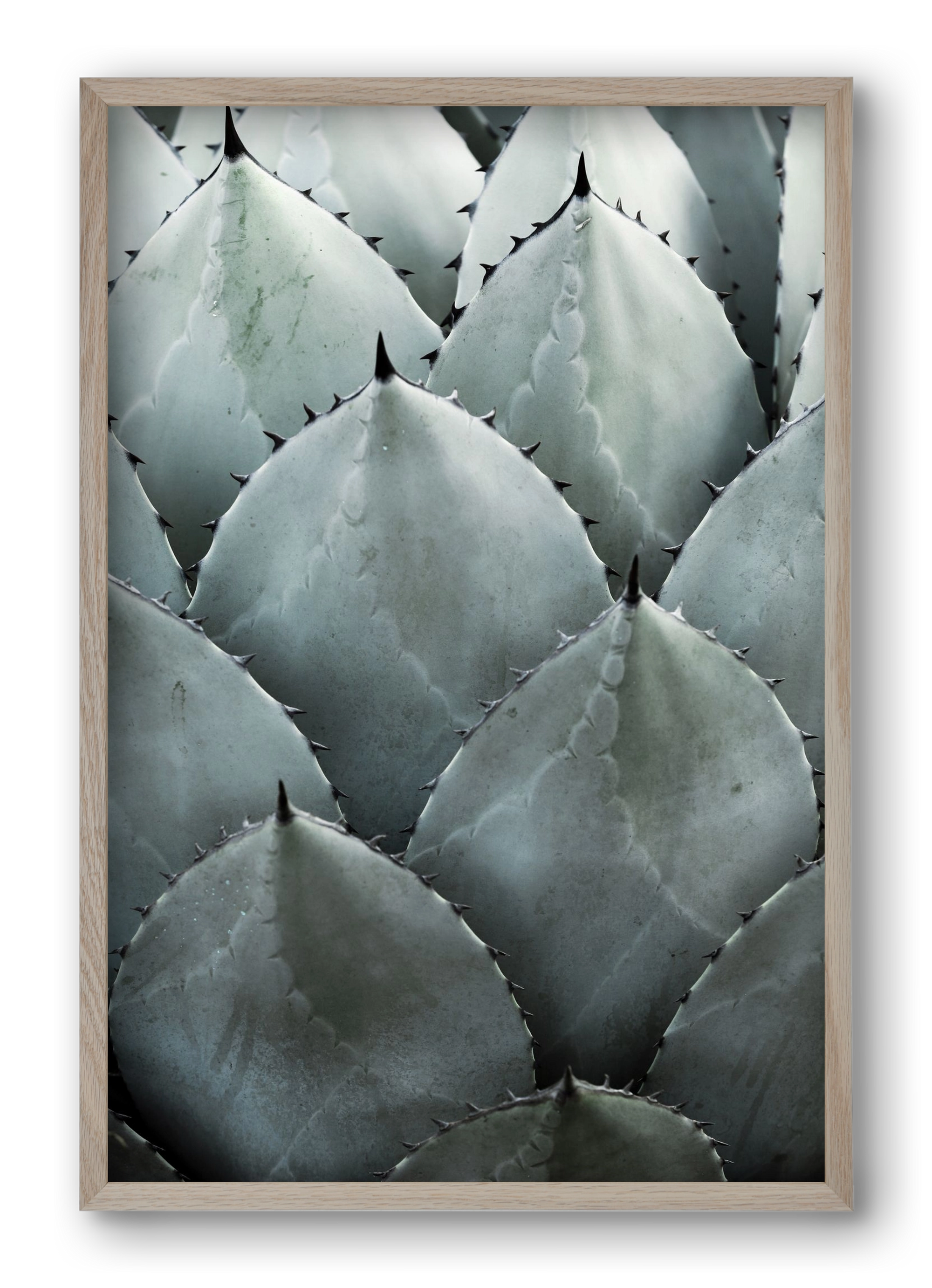 My mint moment, 40x60 cm (40x60 cm), Tölgy keret