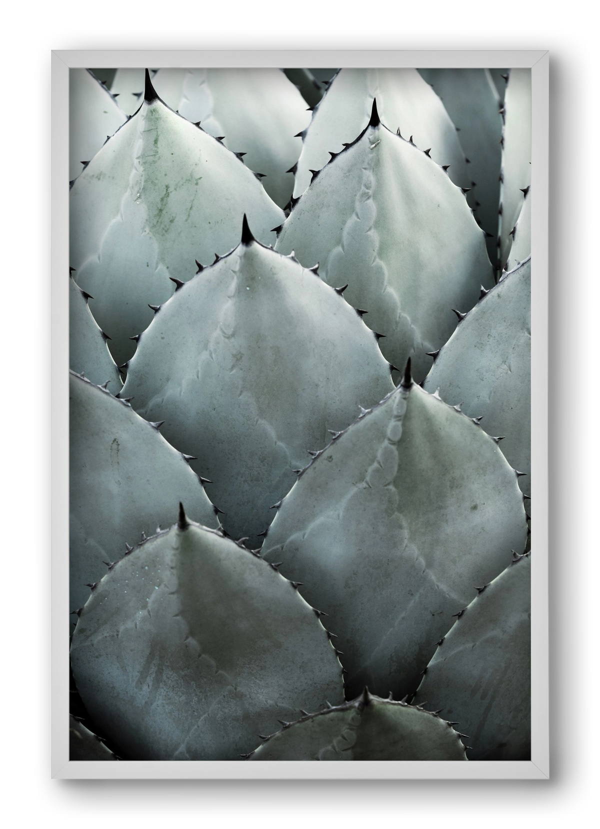 My mint moment, 40x60 cm (40x60 cm), Fehér keret