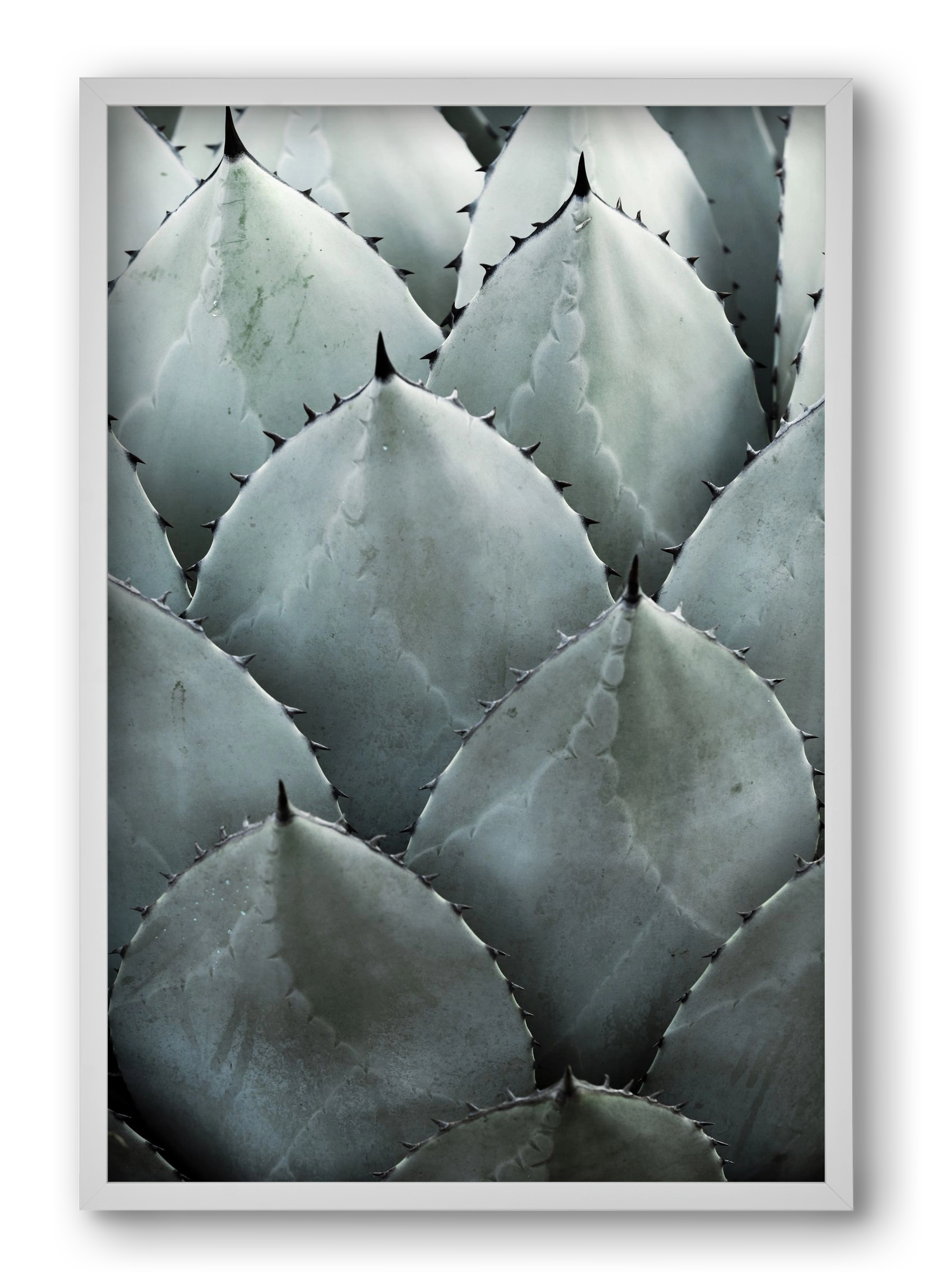 My mint moment, 40x60 cm (40x60 cm), Fehér keret