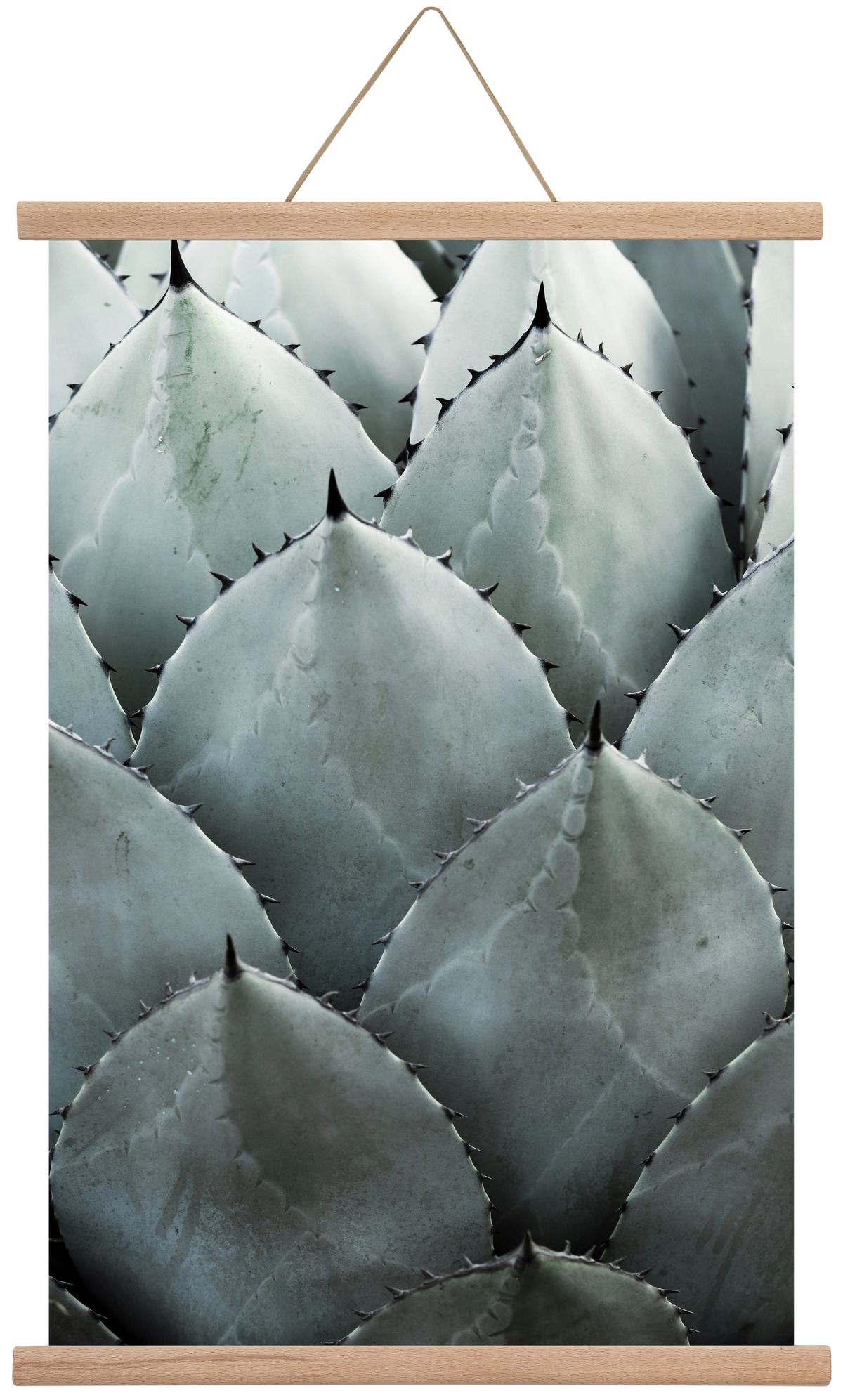 My mint moment, 40x60 cm (40x60 cm), Tölgy akasztó