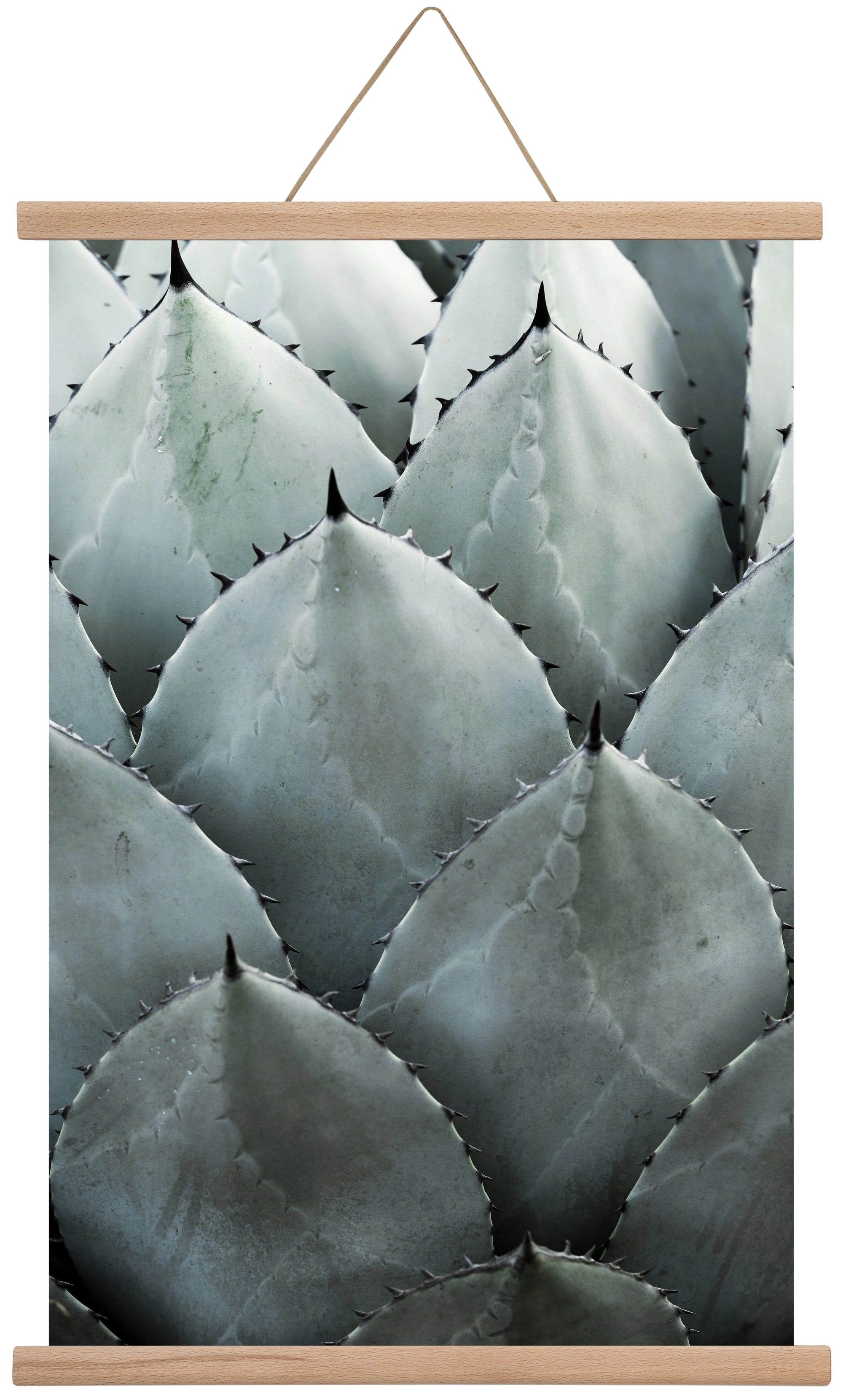 My mint moment, 40x60 cm (40x60 cm), Tölgy akasztó