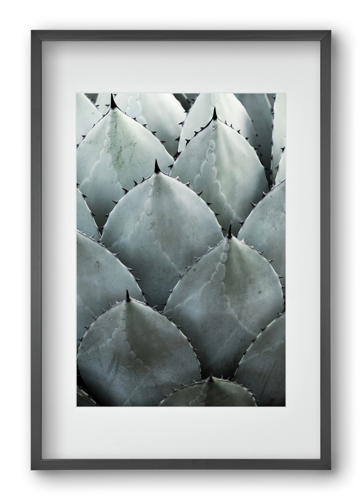 My mint moment, 40x60 cm (30x45 cm), Fekete keret, paszpartuval