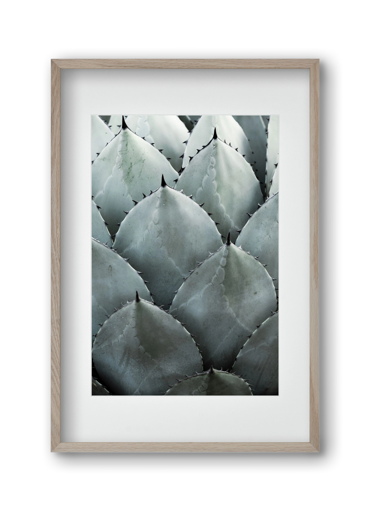 My mint moment, 30x45 cm (20x30 cm), Tölgy keret, paszpartuval