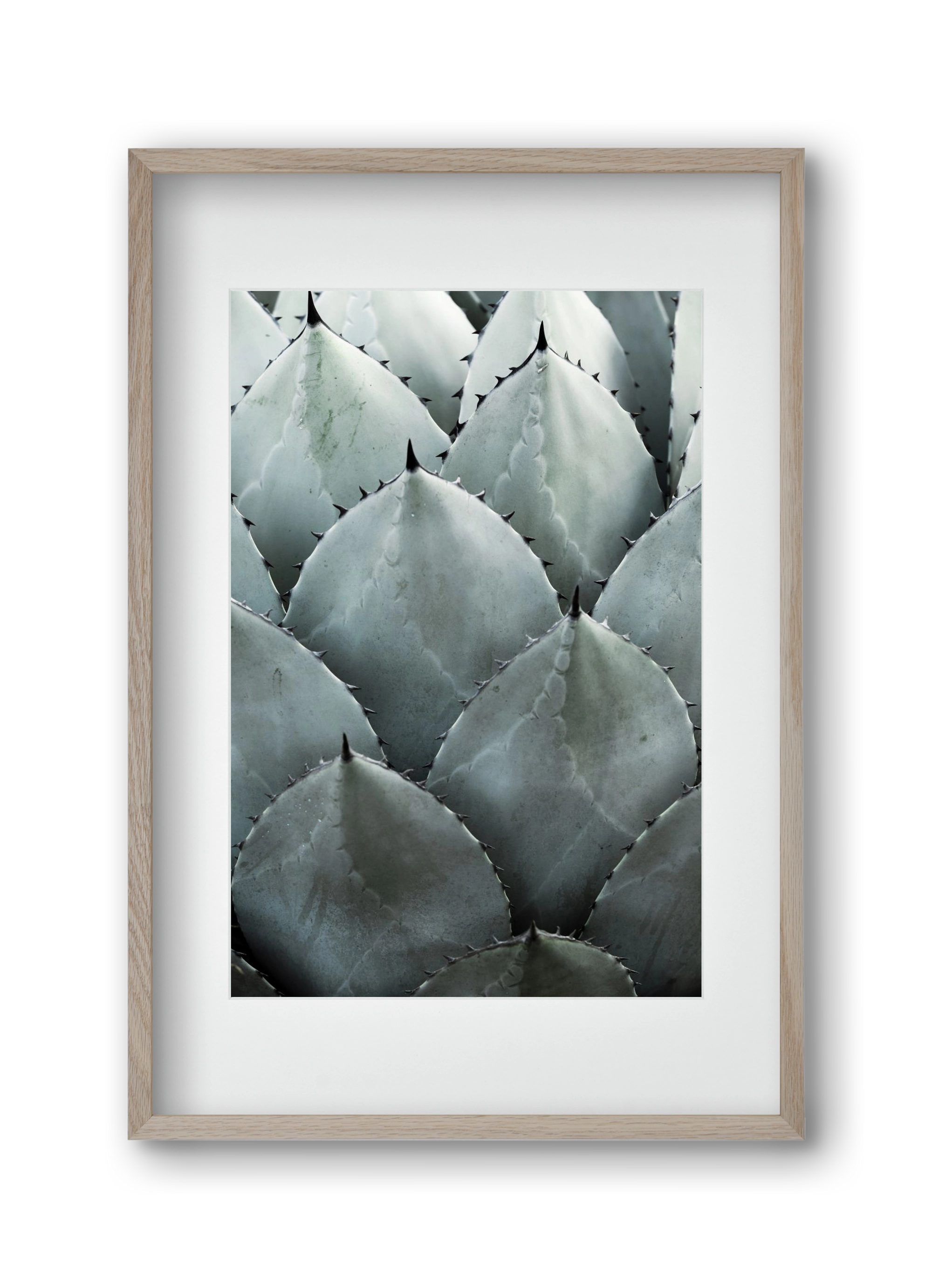 My mint moment, 30x45 cm (20x30 cm), Tölgy keret, paszpartuval