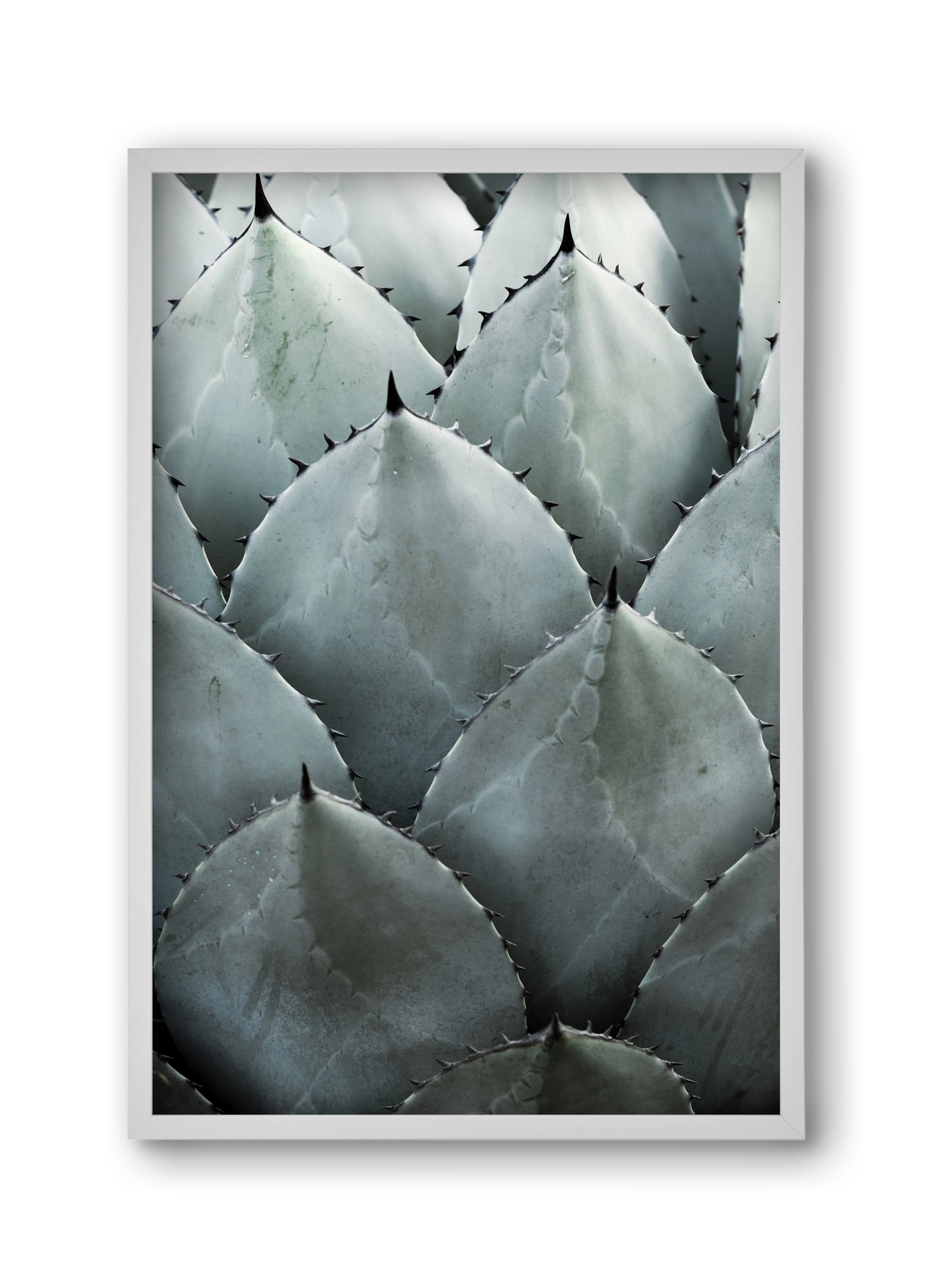 My mint moment, 30x45 cm (30x45 cm), Fehér keret