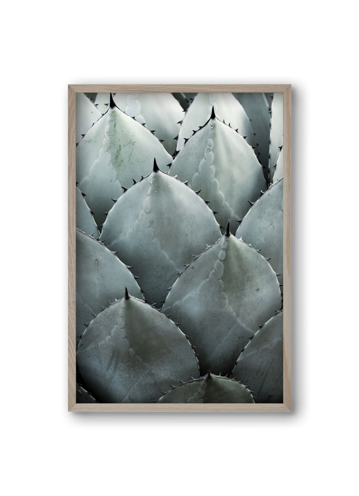 My mint moment, 20x30 cm (20x30 cm), Tölgy keret