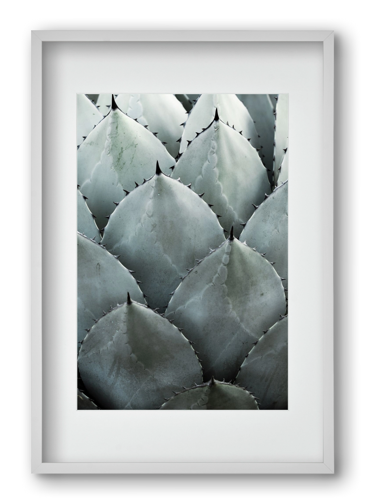 My mint moment, 40x60 cm (30x45 cm), Fehér keret, paszpartuval