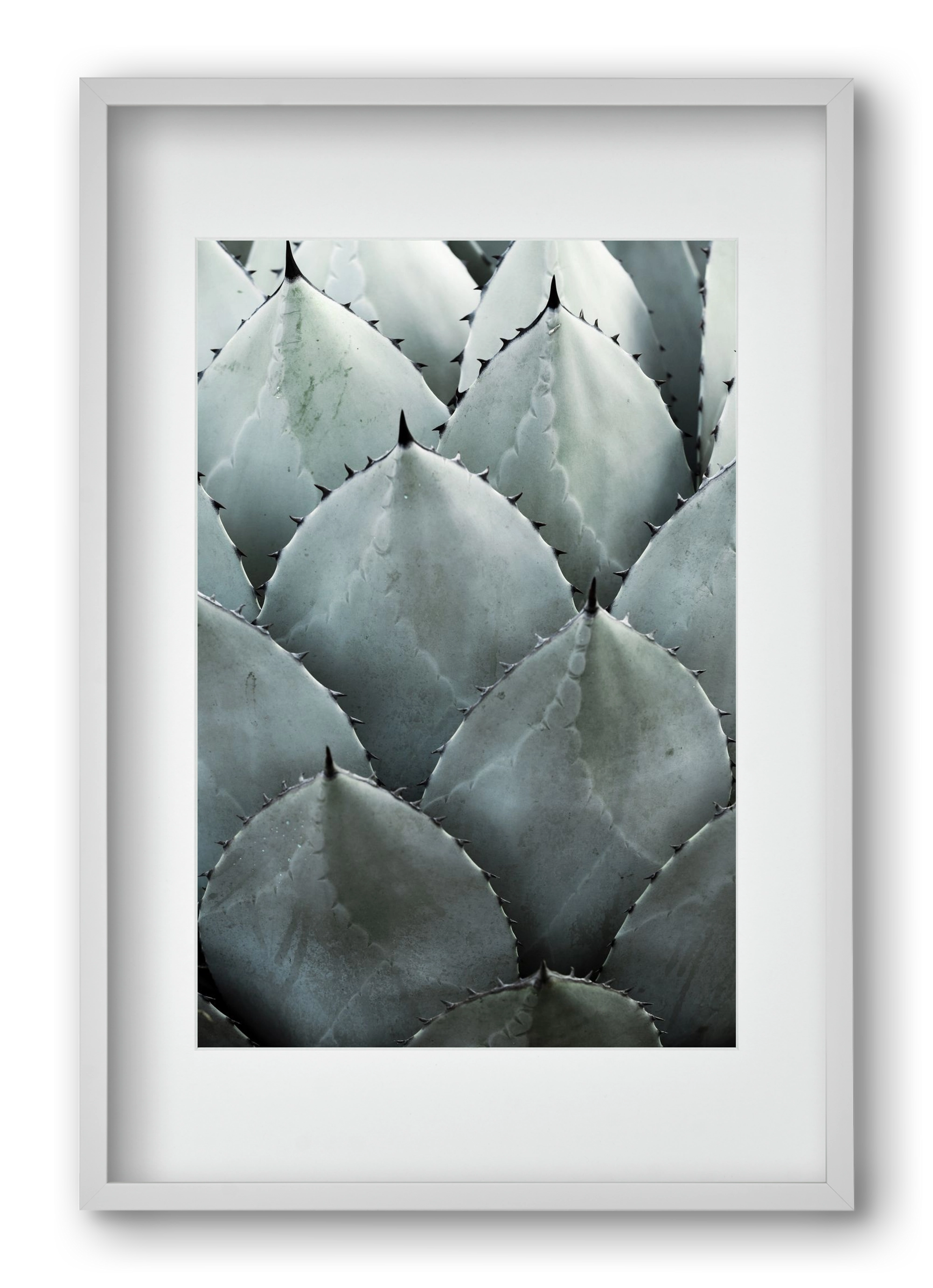 My mint moment, 40x60 cm (30x45 cm), Fehér keret, paszpartuval