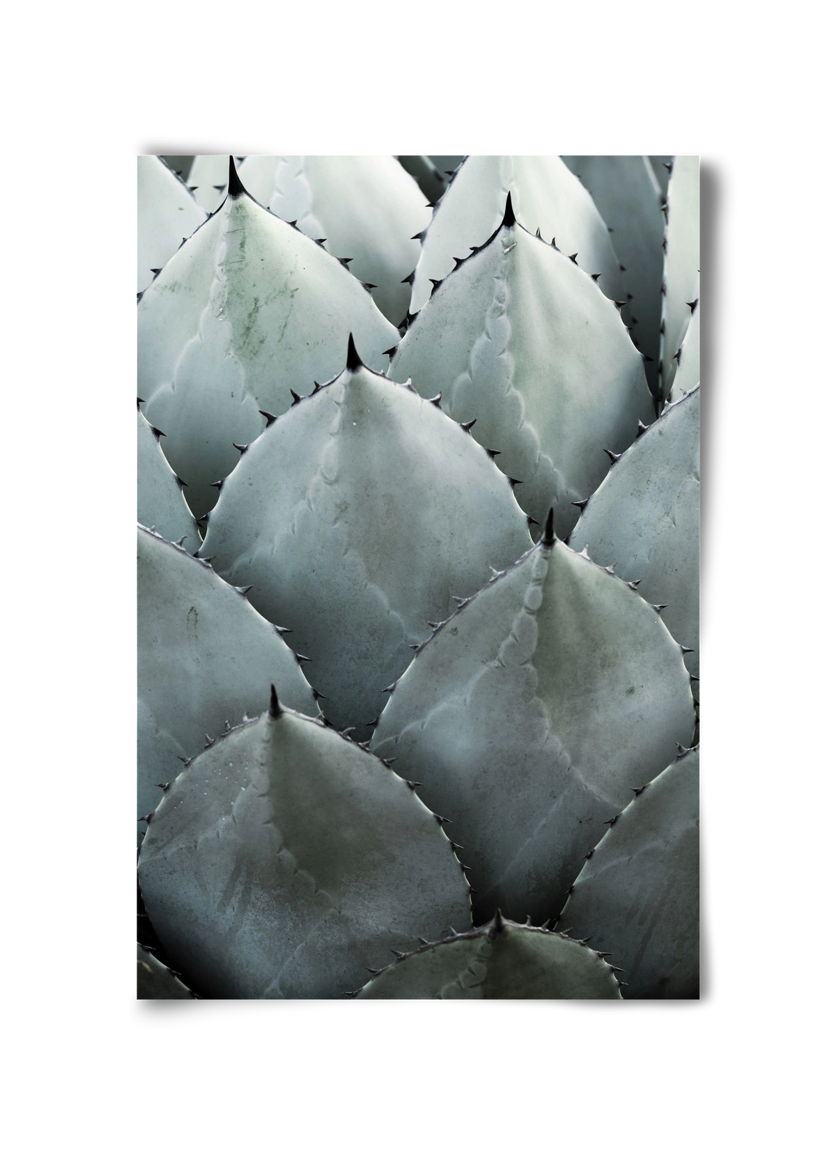 My mint moment, 30x45 cm, Keret nélkül