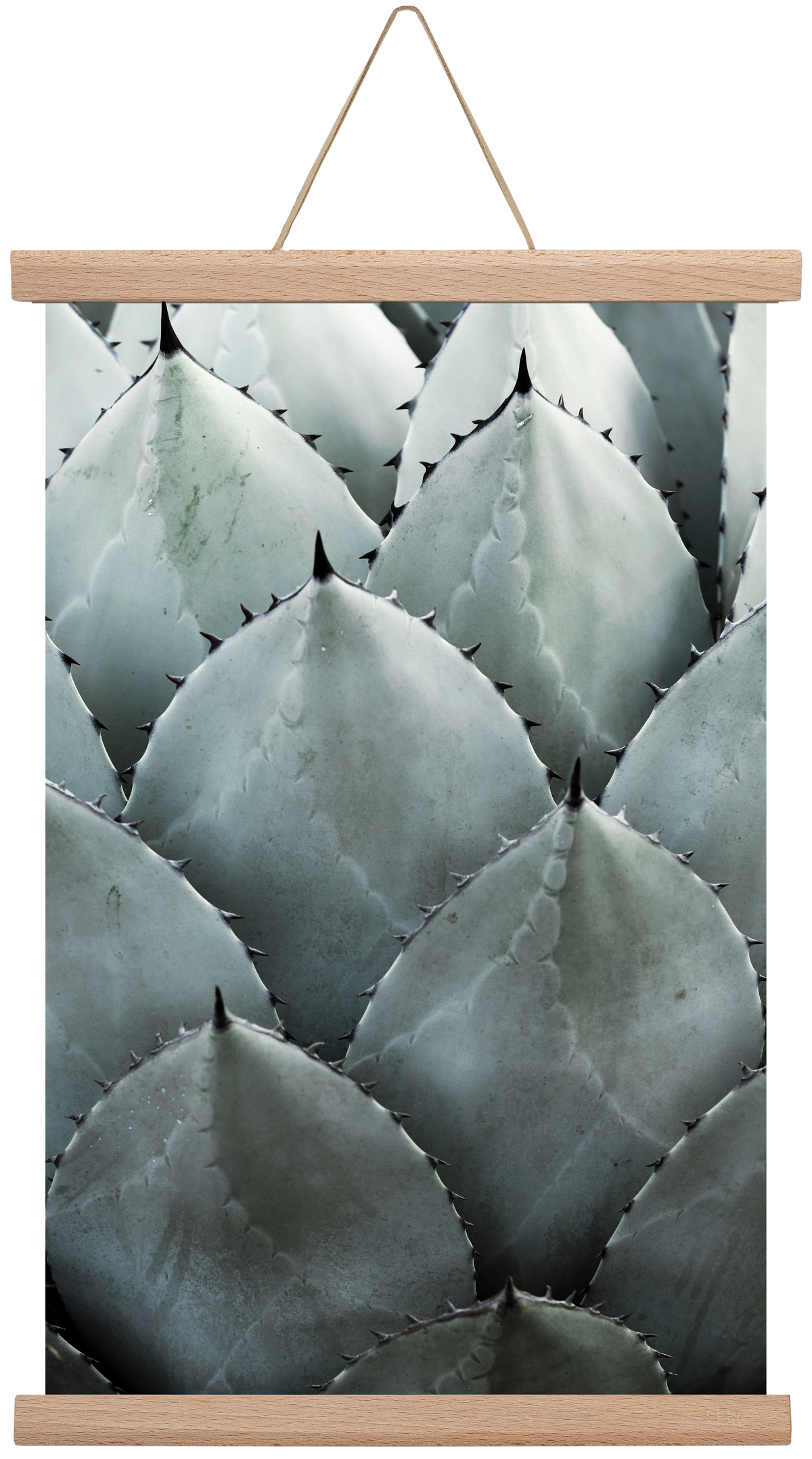 My mint moment, 30x45 cm (30x45 cm), Tölgy akasztó