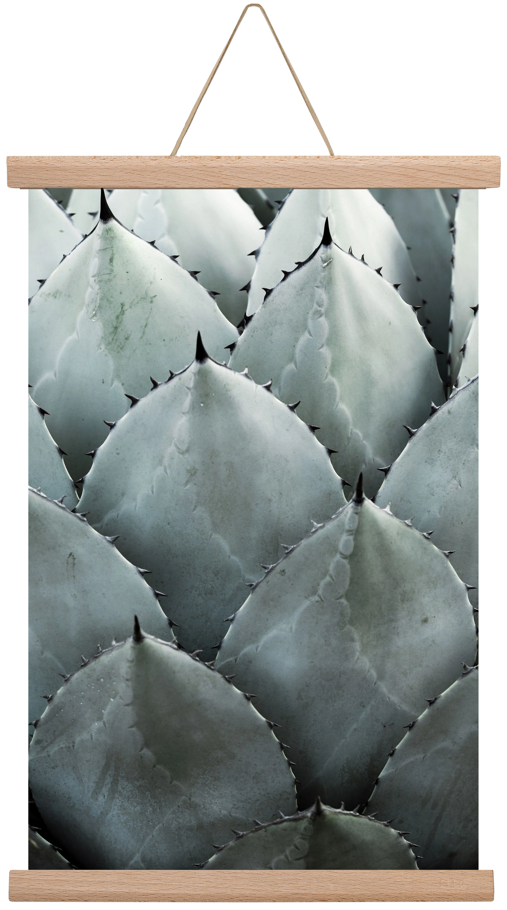 My mint moment, 30x45 cm (30x45 cm), Tölgy akasztó