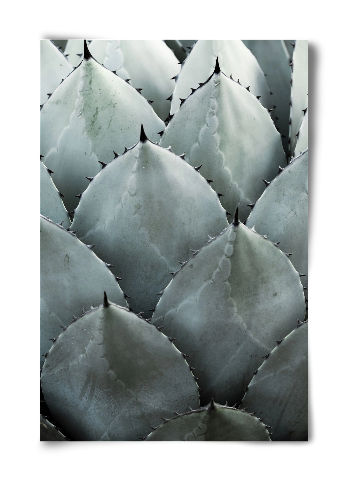 My mint moment, 40x60 cm, Keret nélkül