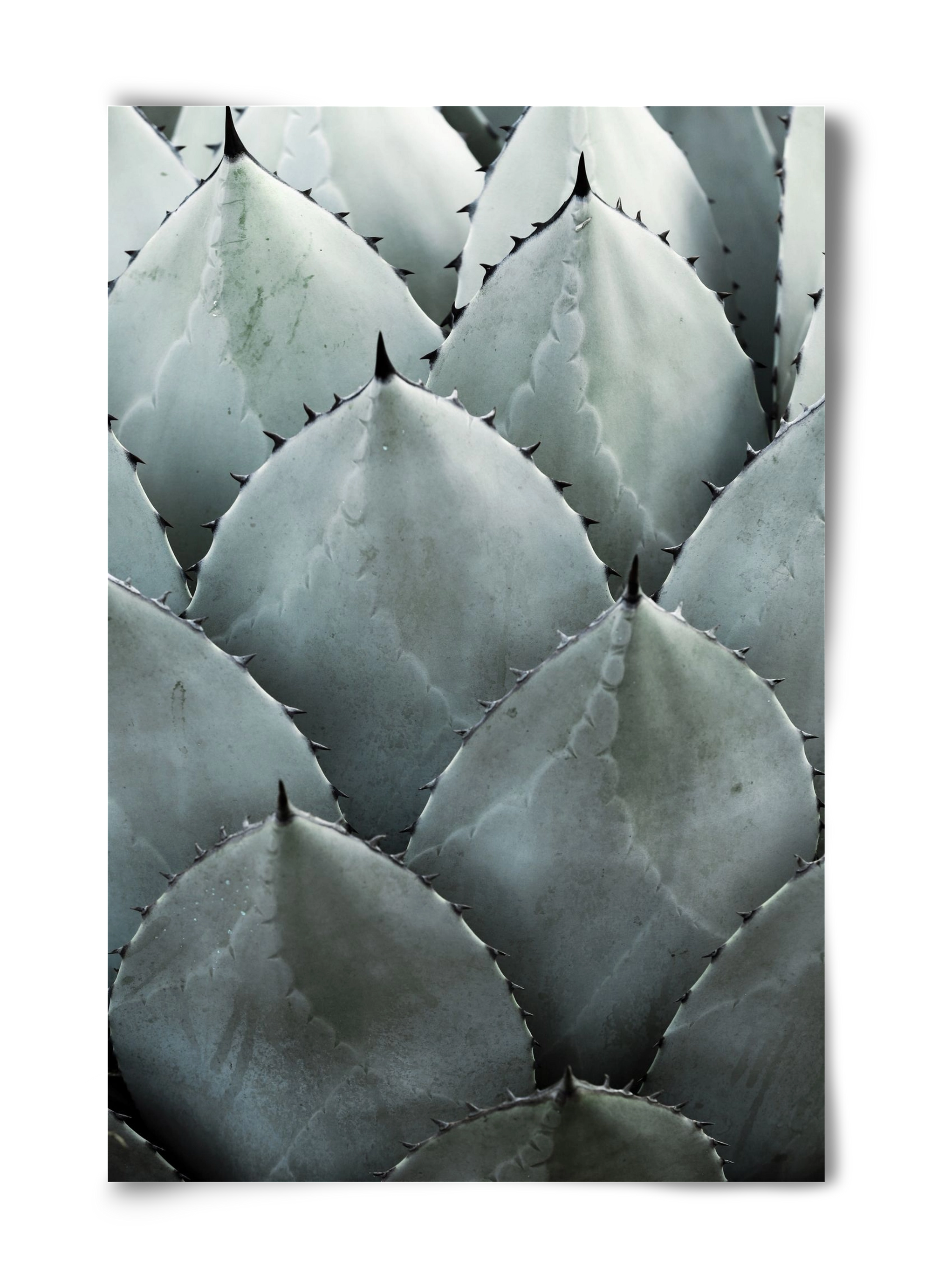 My mint moment, 40x60 cm, Keret nélkül