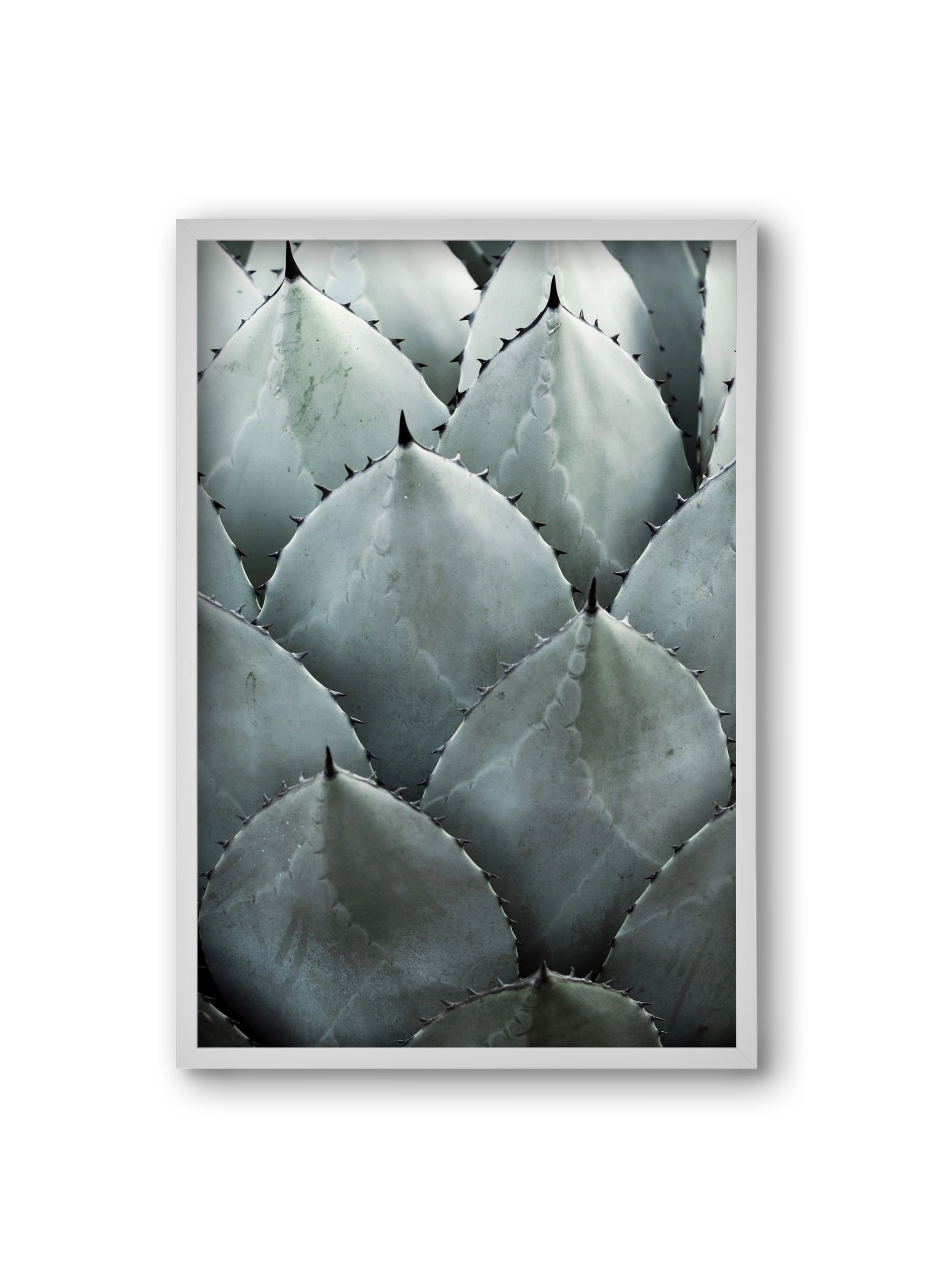 My mint moment, 20x30 cm (20x30 cm), Fehér keret