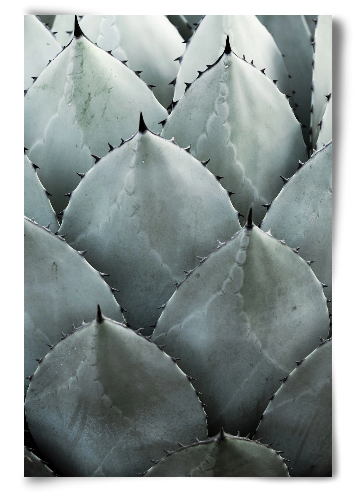 My mint moment, 60x90 cm, Keret nélkül