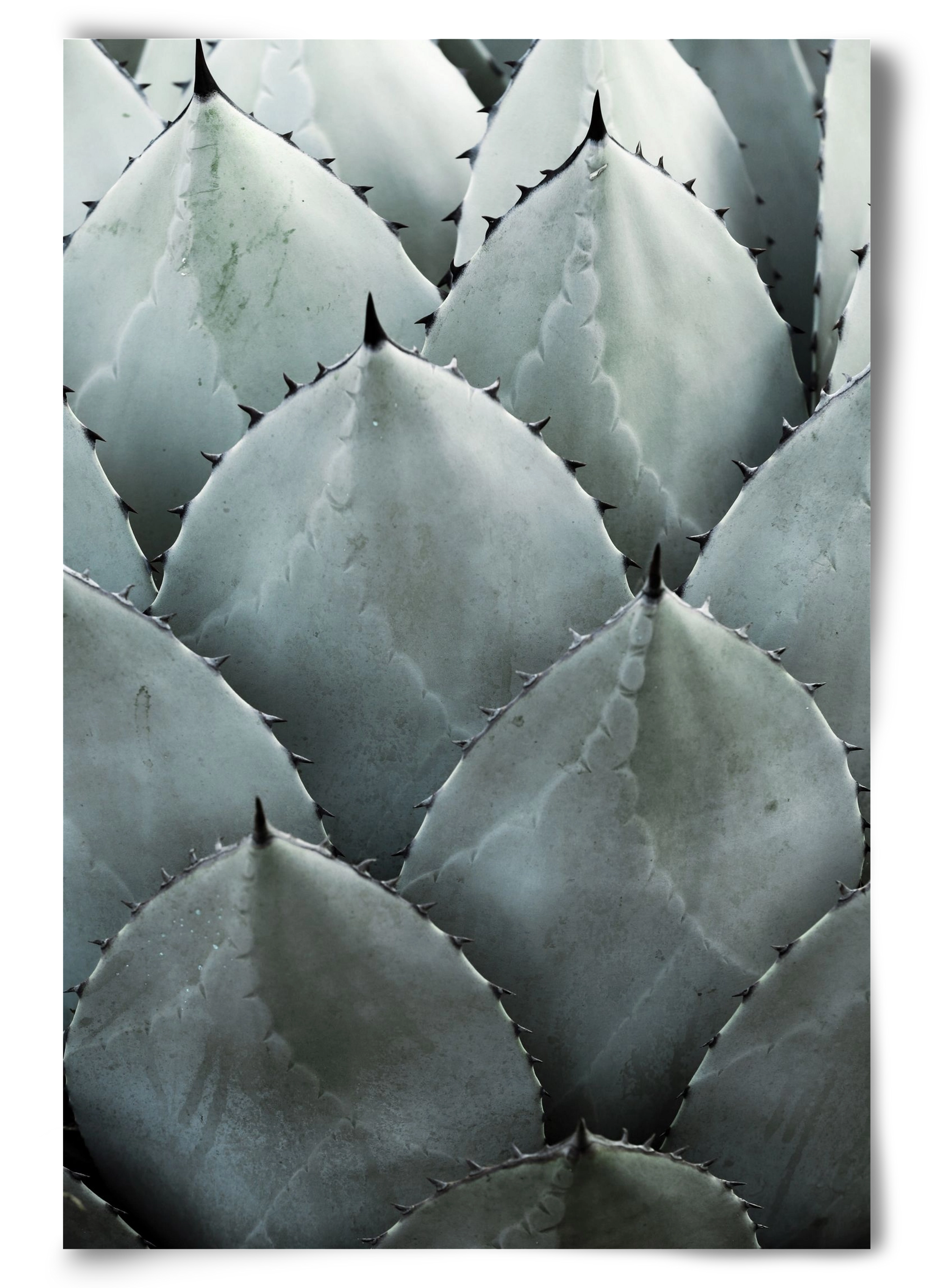 My mint moment, 60x90 cm, Keret nélkül