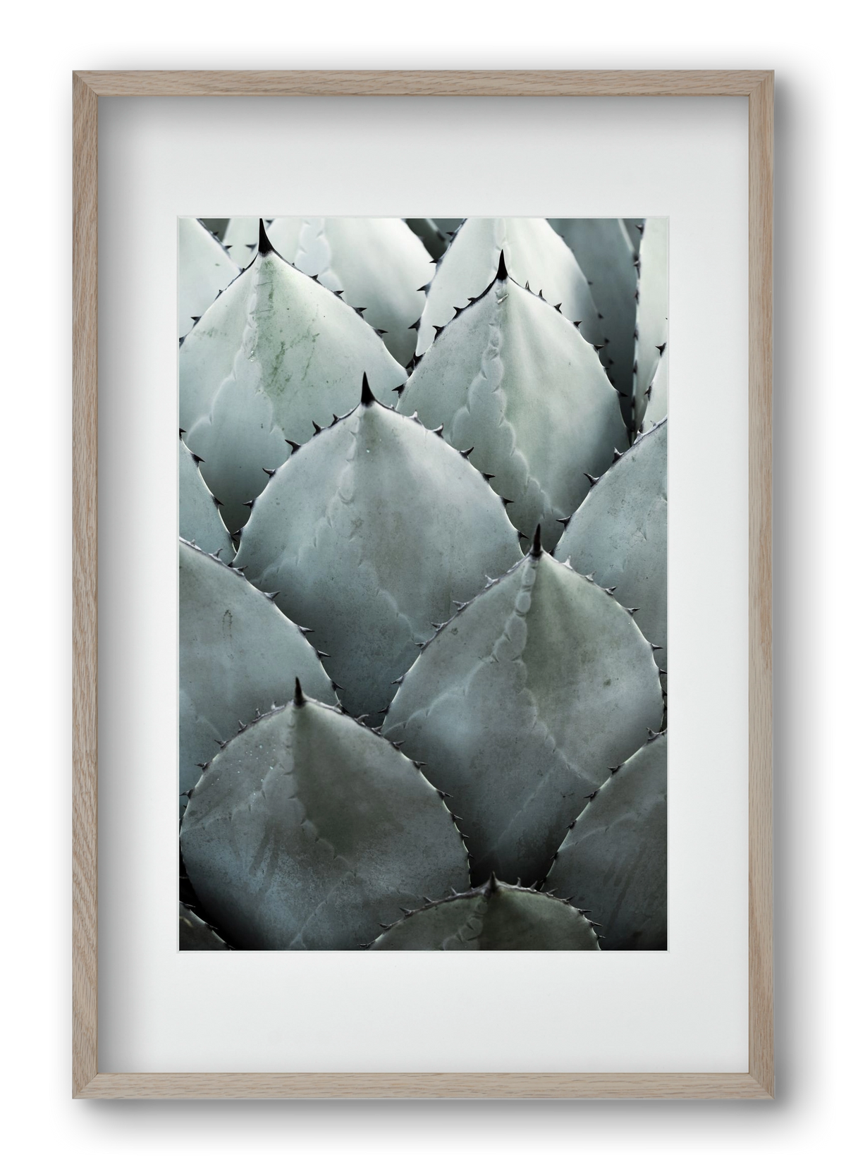 My mint moment, 40x60 cm (30x45 cm), Tölgy keret, paszpartuval