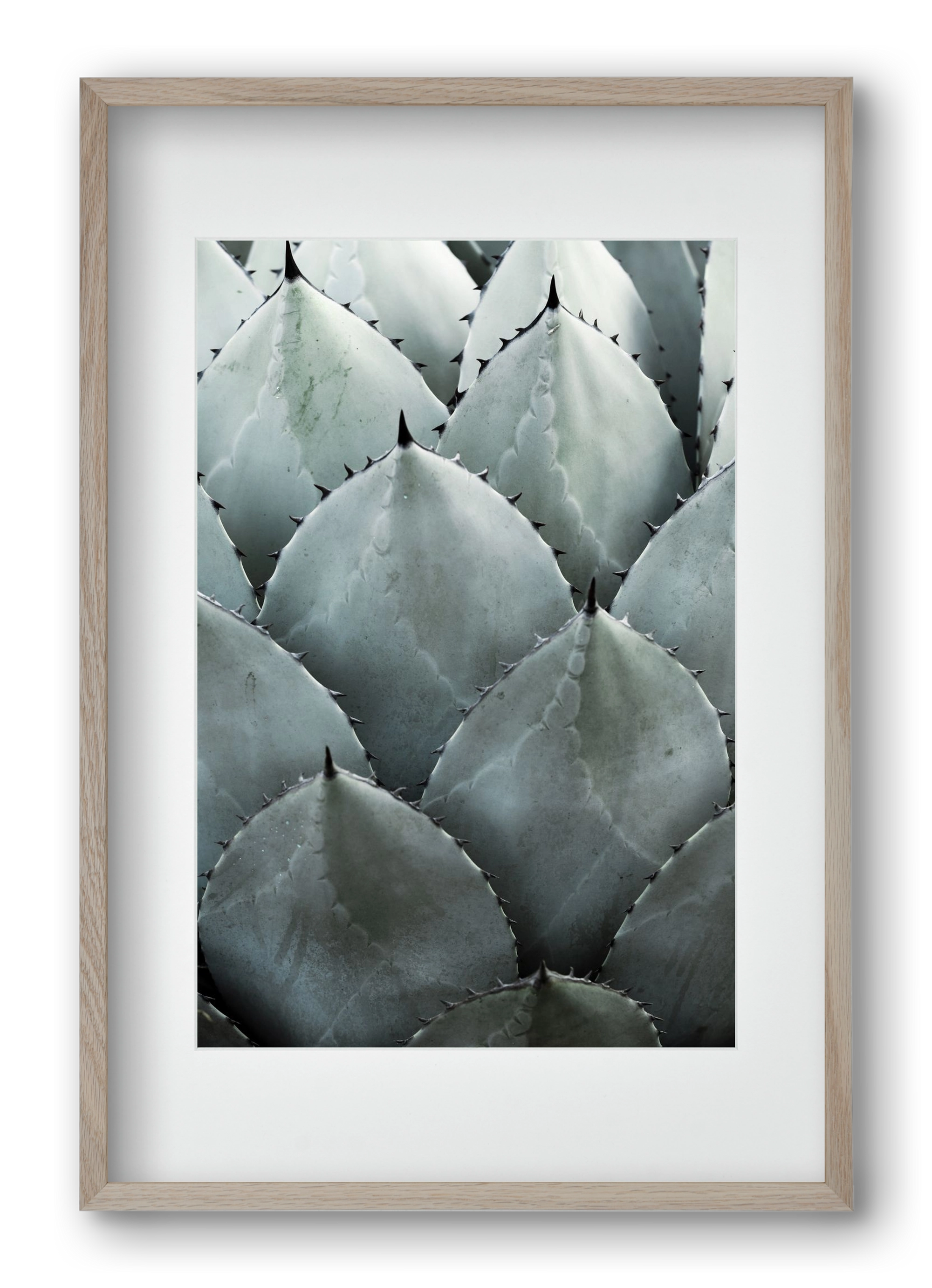 My mint moment, 40x60 cm (30x45 cm), Tölgy keret, paszpartuval