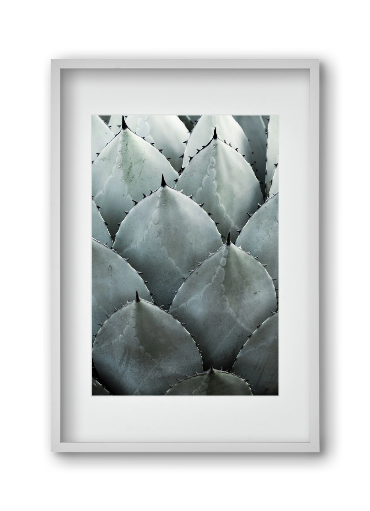 My mint moment, 30x45 cm (20x30 cm), Fehér keret, paszpartuval