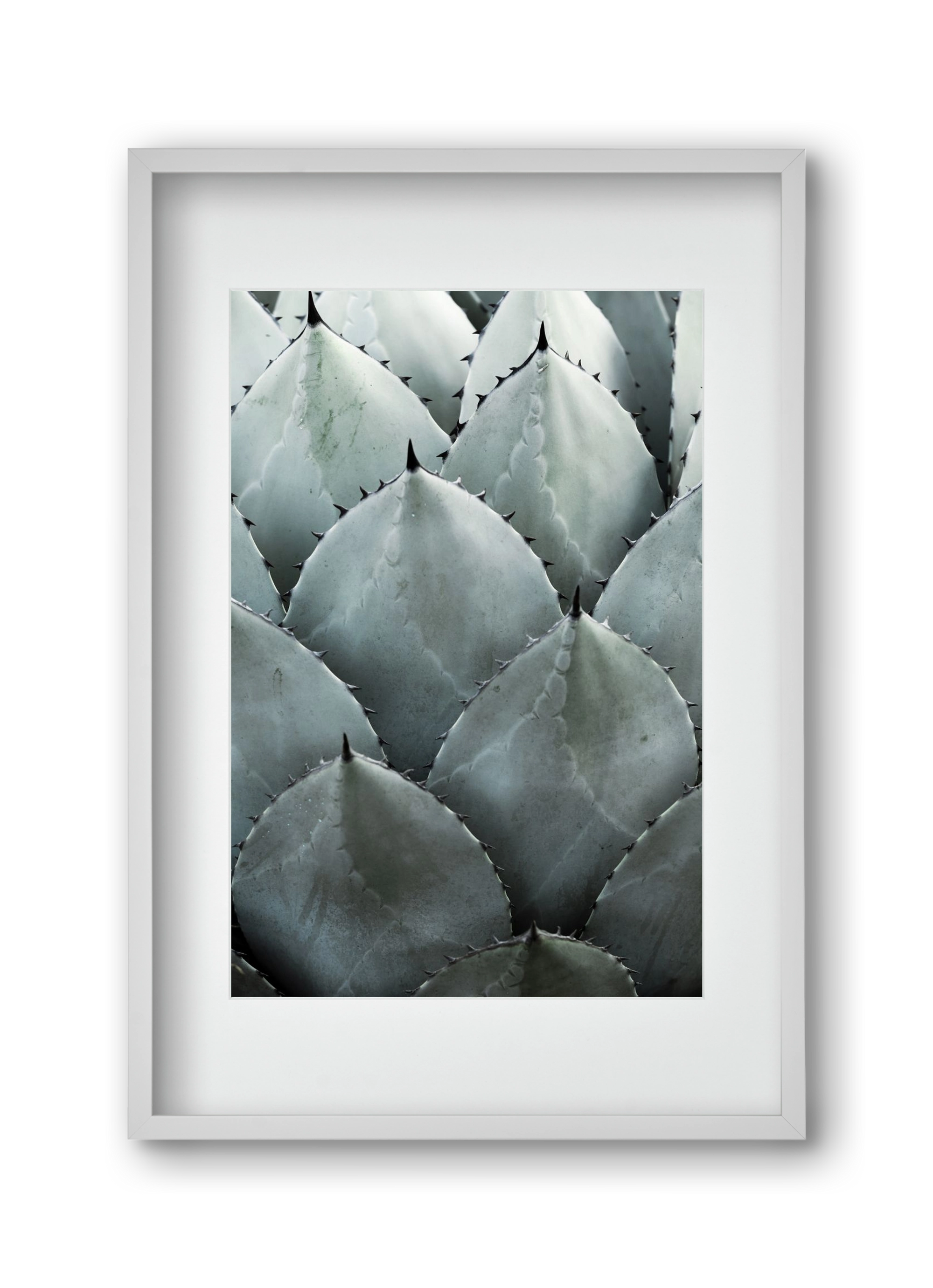 My mint moment, 30x45 cm (20x30 cm), Fehér keret, paszpartuval