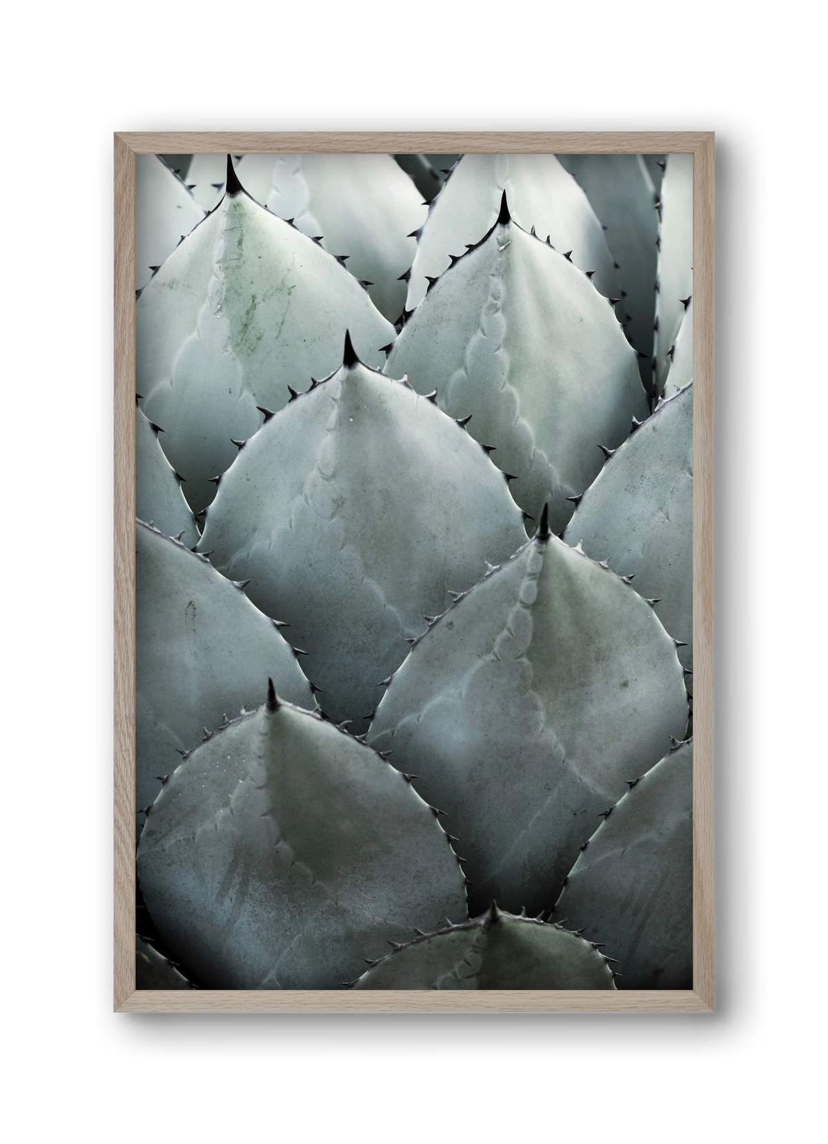 My mint moment, 30x45 cm (30x45 cm), Tölgy keret