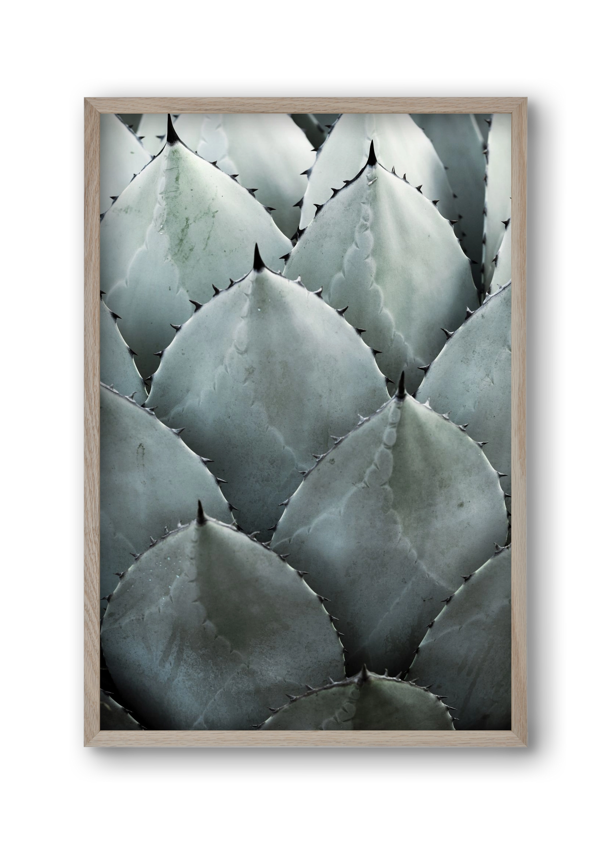 My mint moment, 30x45 cm (30x45 cm), Tölgy keret