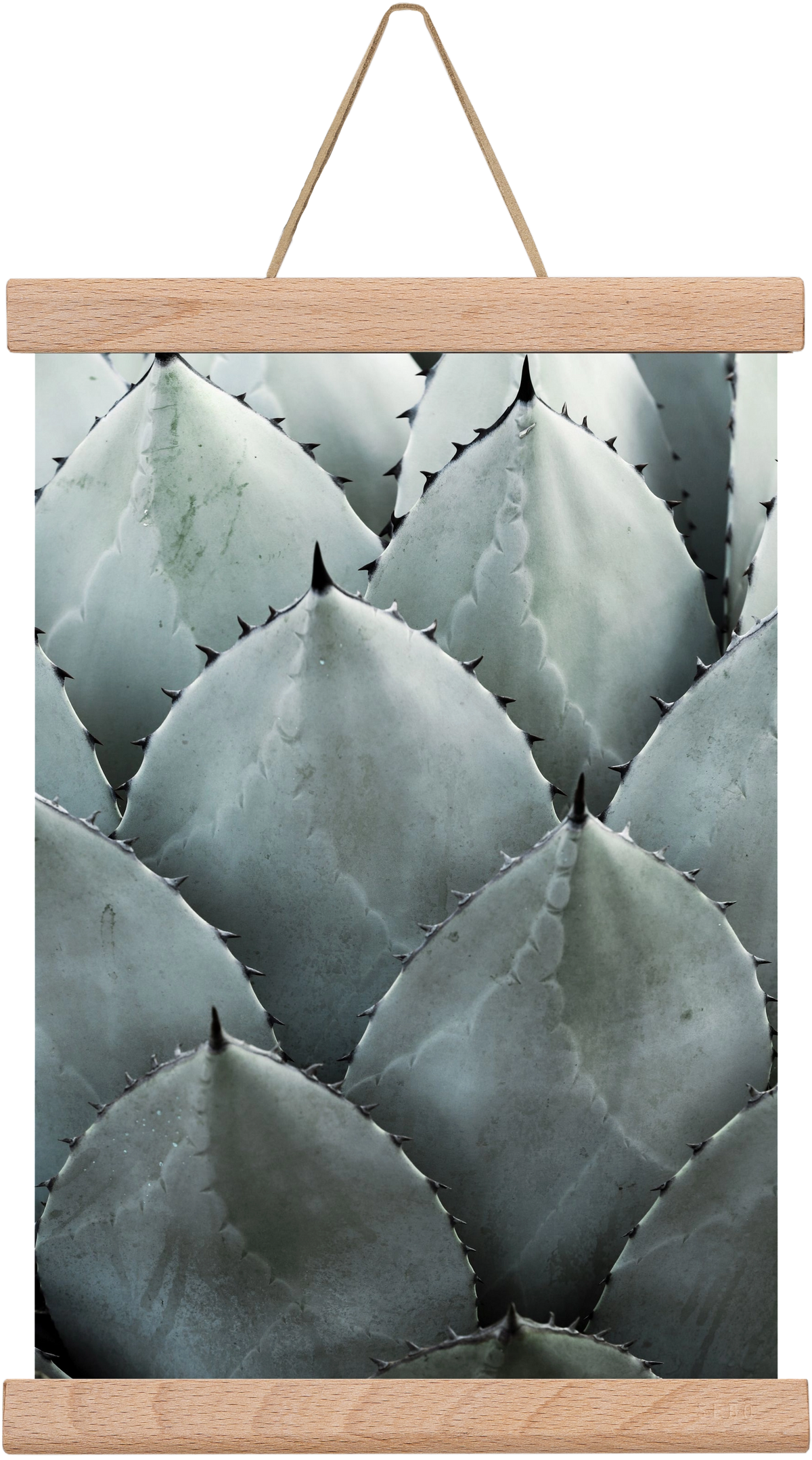 My mint moment, 20x30 cm (20x30 cm), Tölgy akasztó