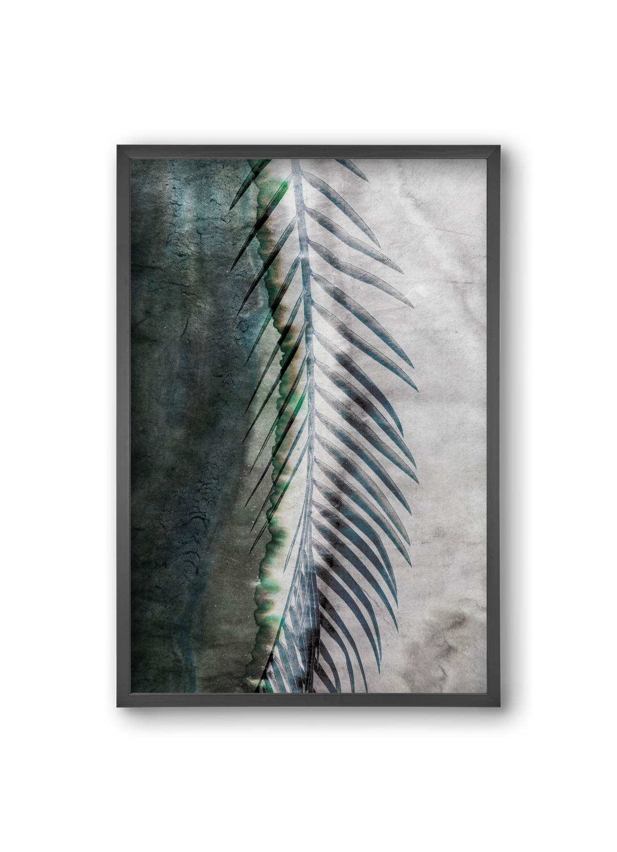 Natural selection, 20x30 cm (20x30 cm), Fekete keret