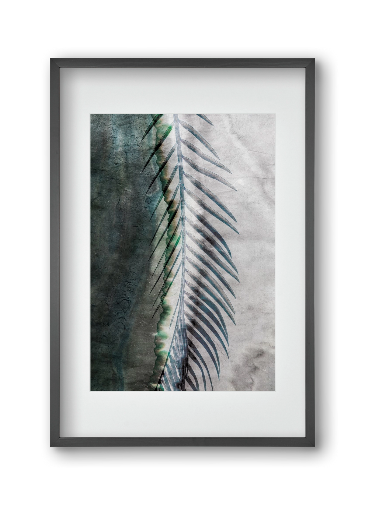 Natural selection, 30x45 cm (20x30 cm), Fekete keret, paszpartuval