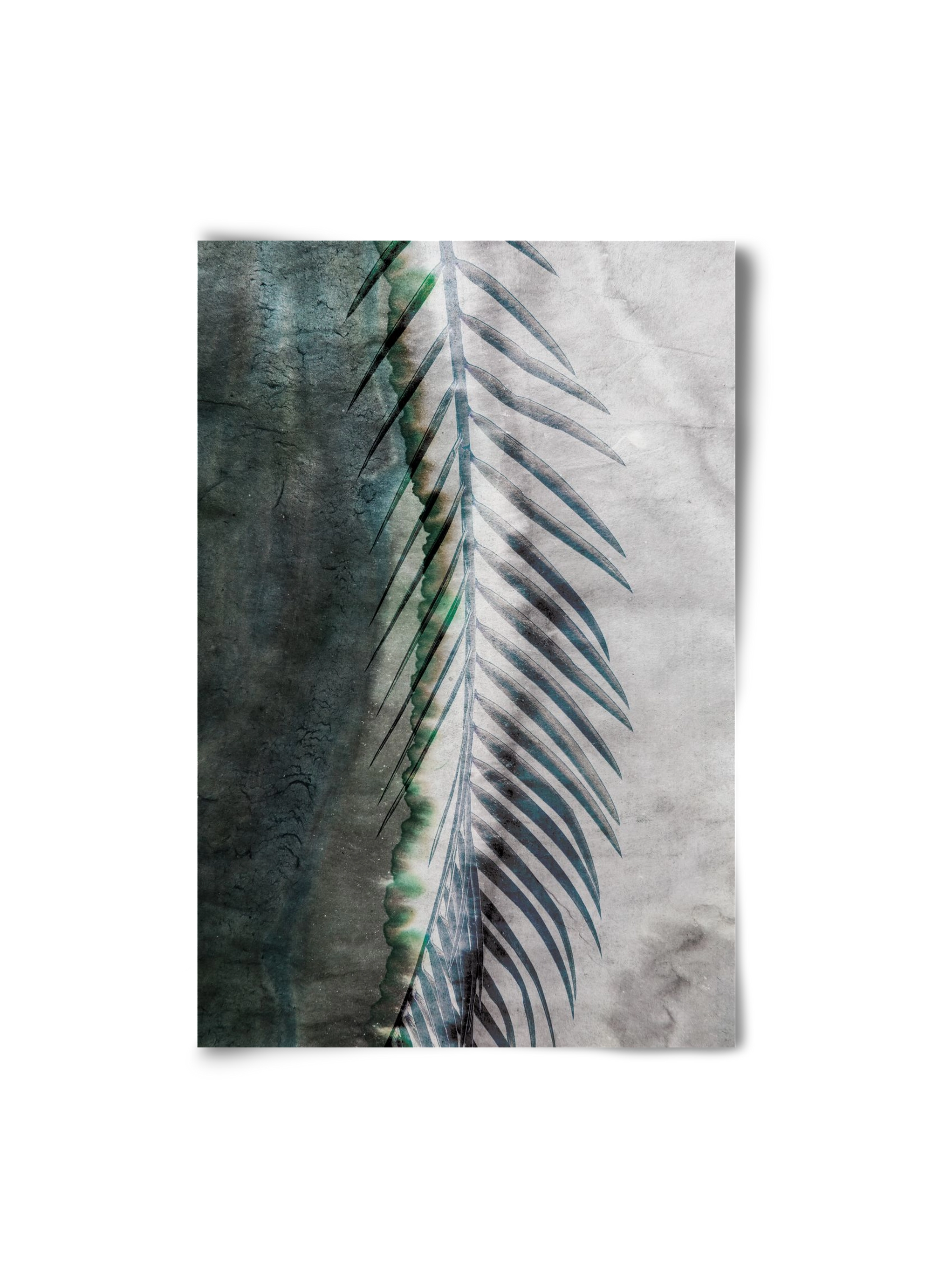 Natural selection, 20x30 cm, Keret nélkül