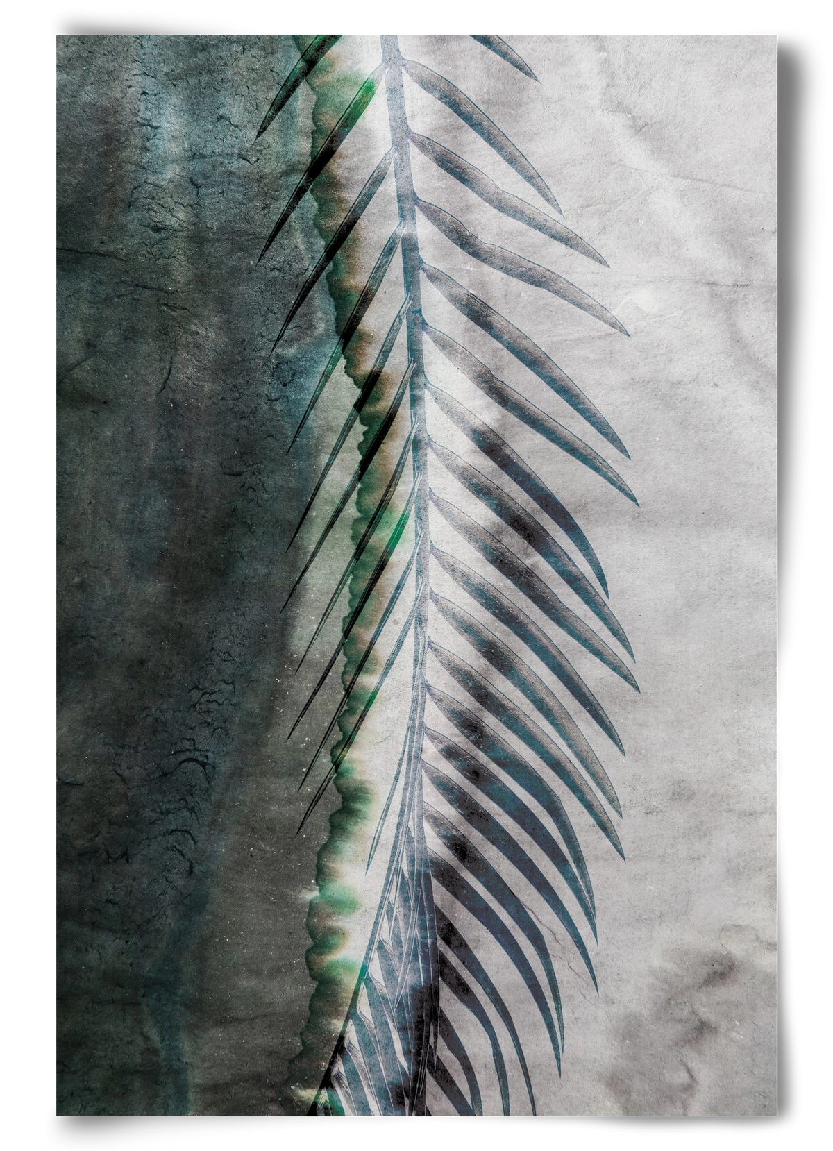 Natural selection, 60x90 cm, Keret nélkül