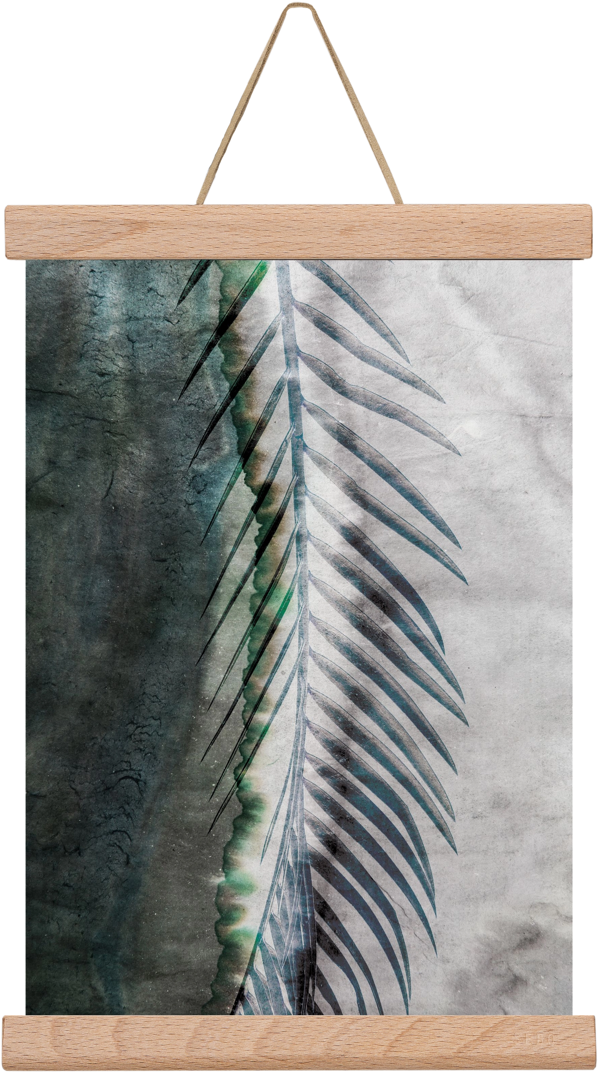 Natural selection, 20x30 cm (20x30 cm), Tölgy akasztó