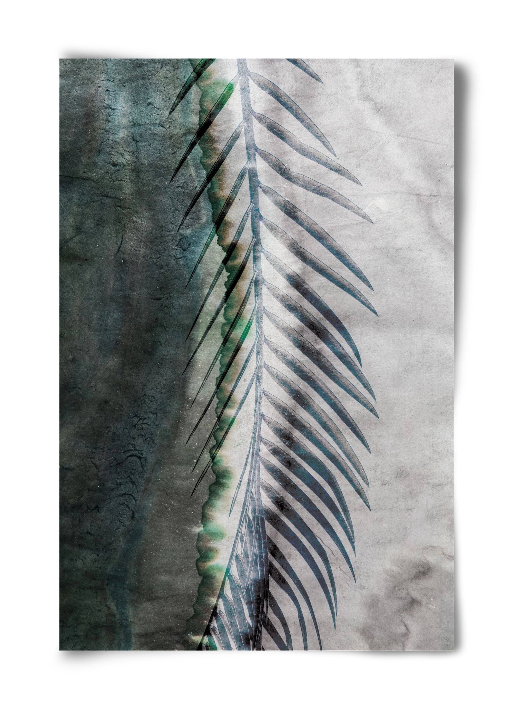 Natural selection, 40x60 cm, Keret nélkül