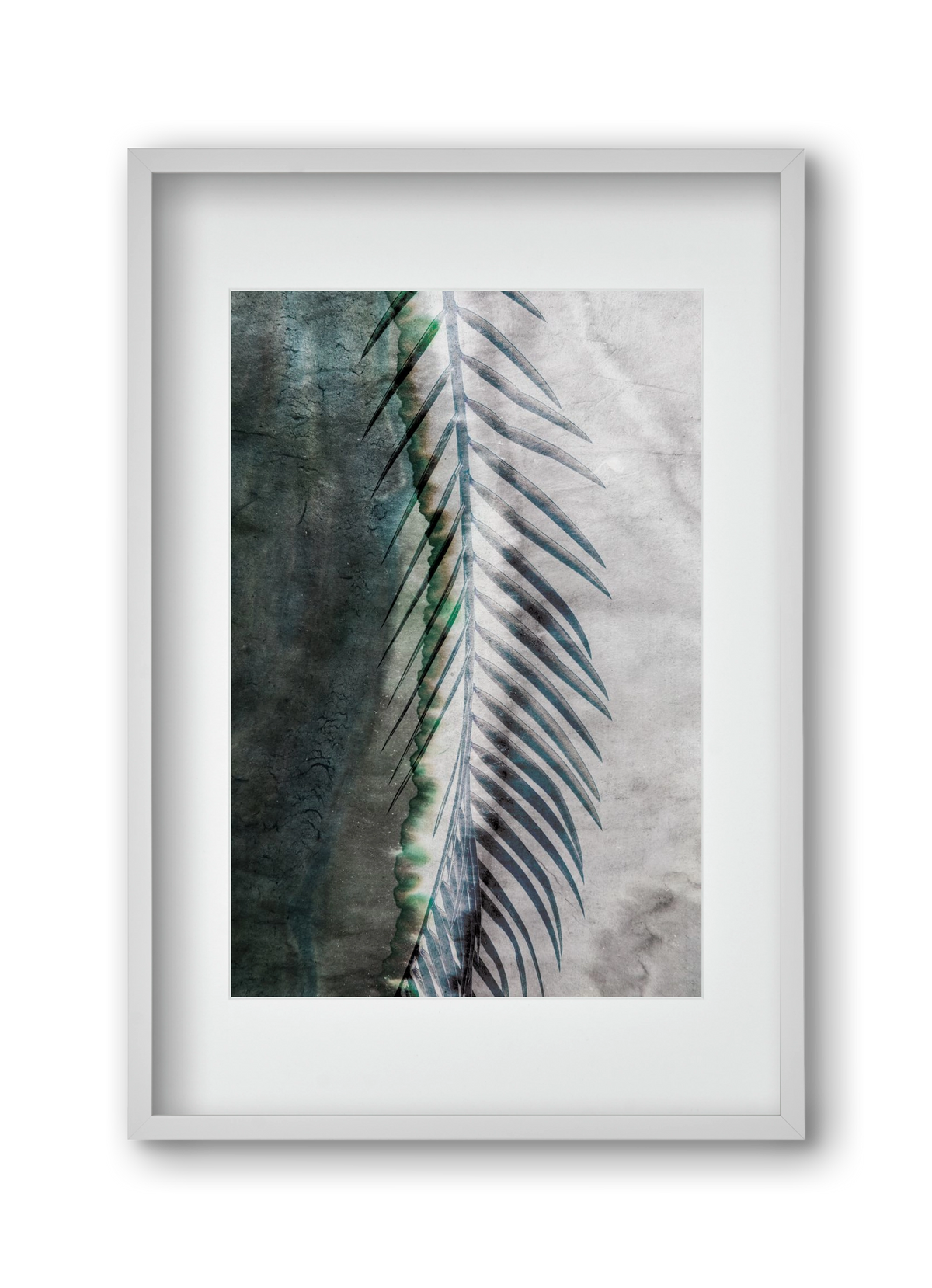 Natural selection, 30x45 cm (20x30 cm), Fehér keret, paszpartuval