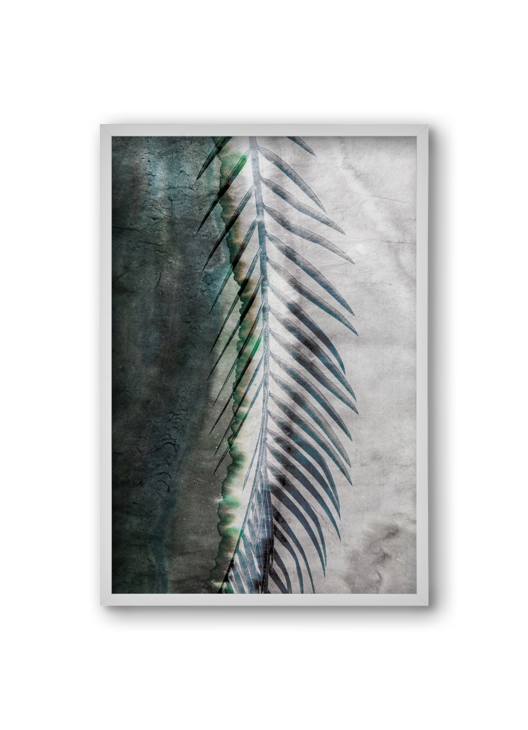 Natural selection, 20x30 cm (20x30 cm), Fehér keret