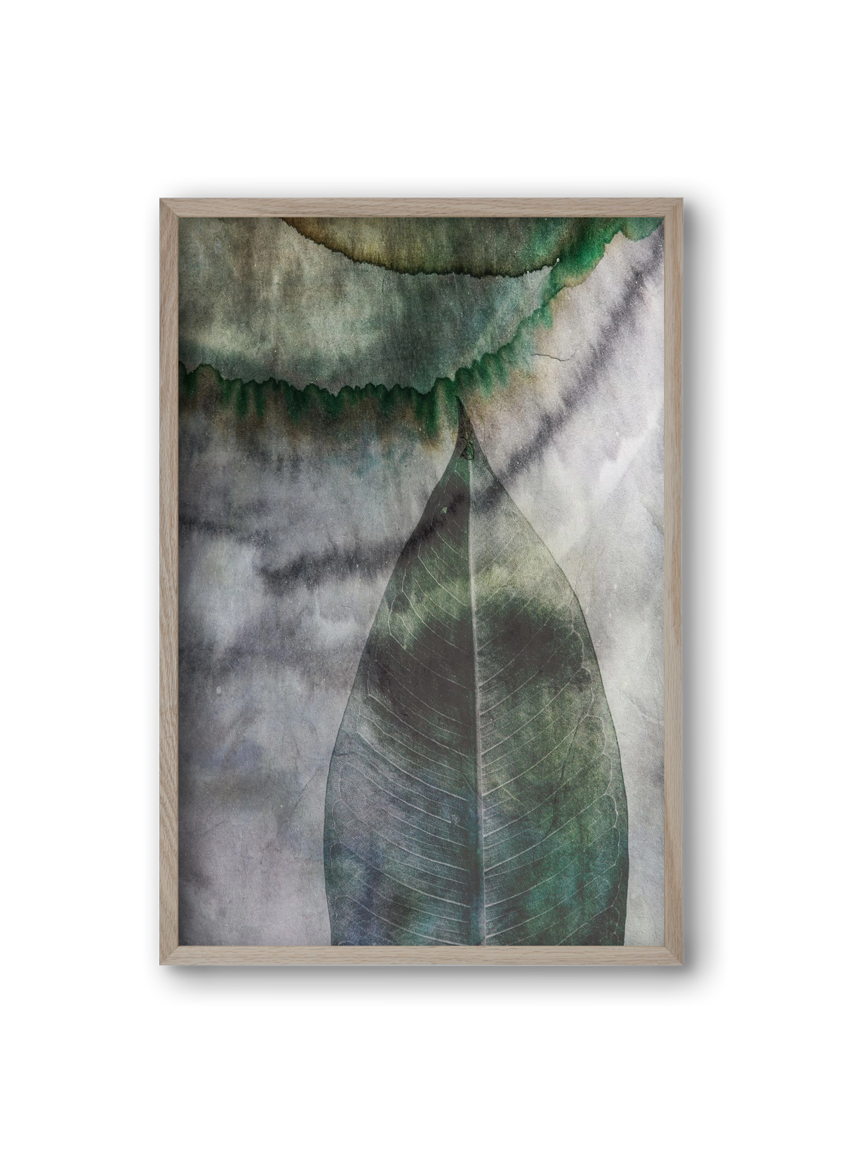 Natural selection II., 20x30 cm (20x30 cm), Tölgy keret