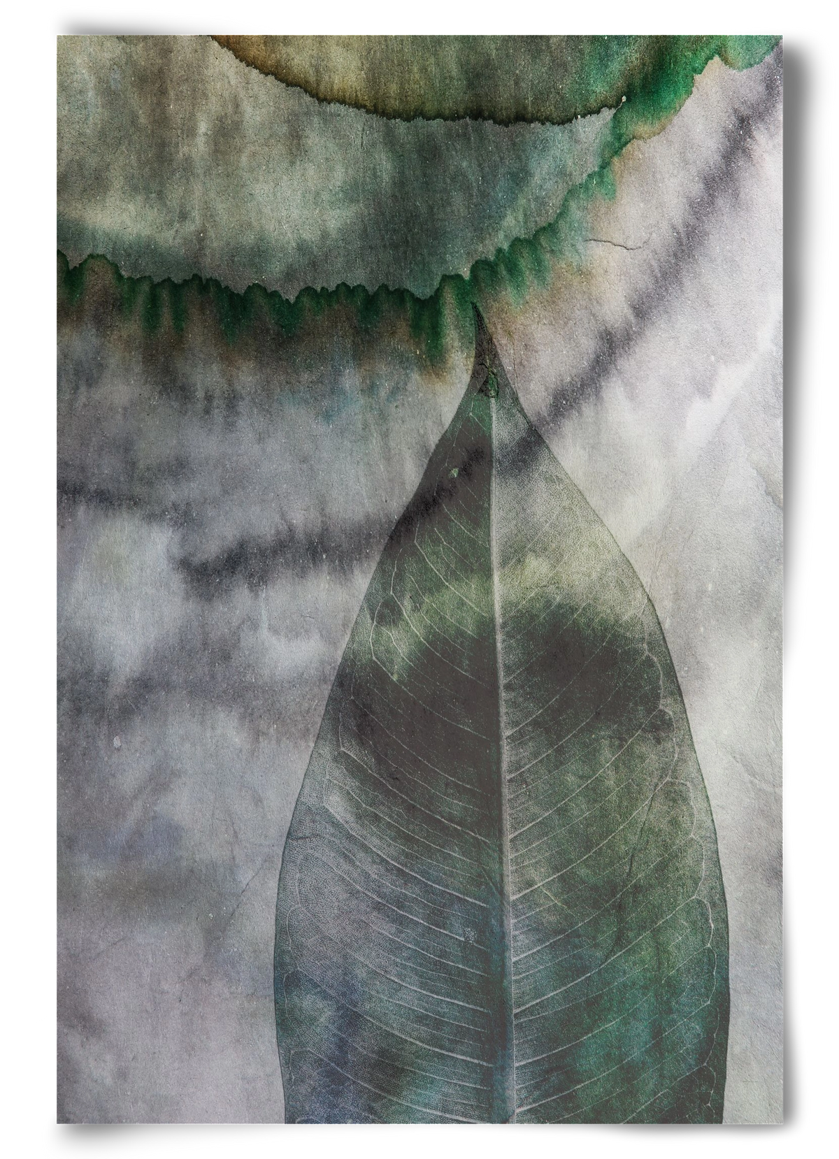 Natural selection II., 60x90 cm, Keret nélkül