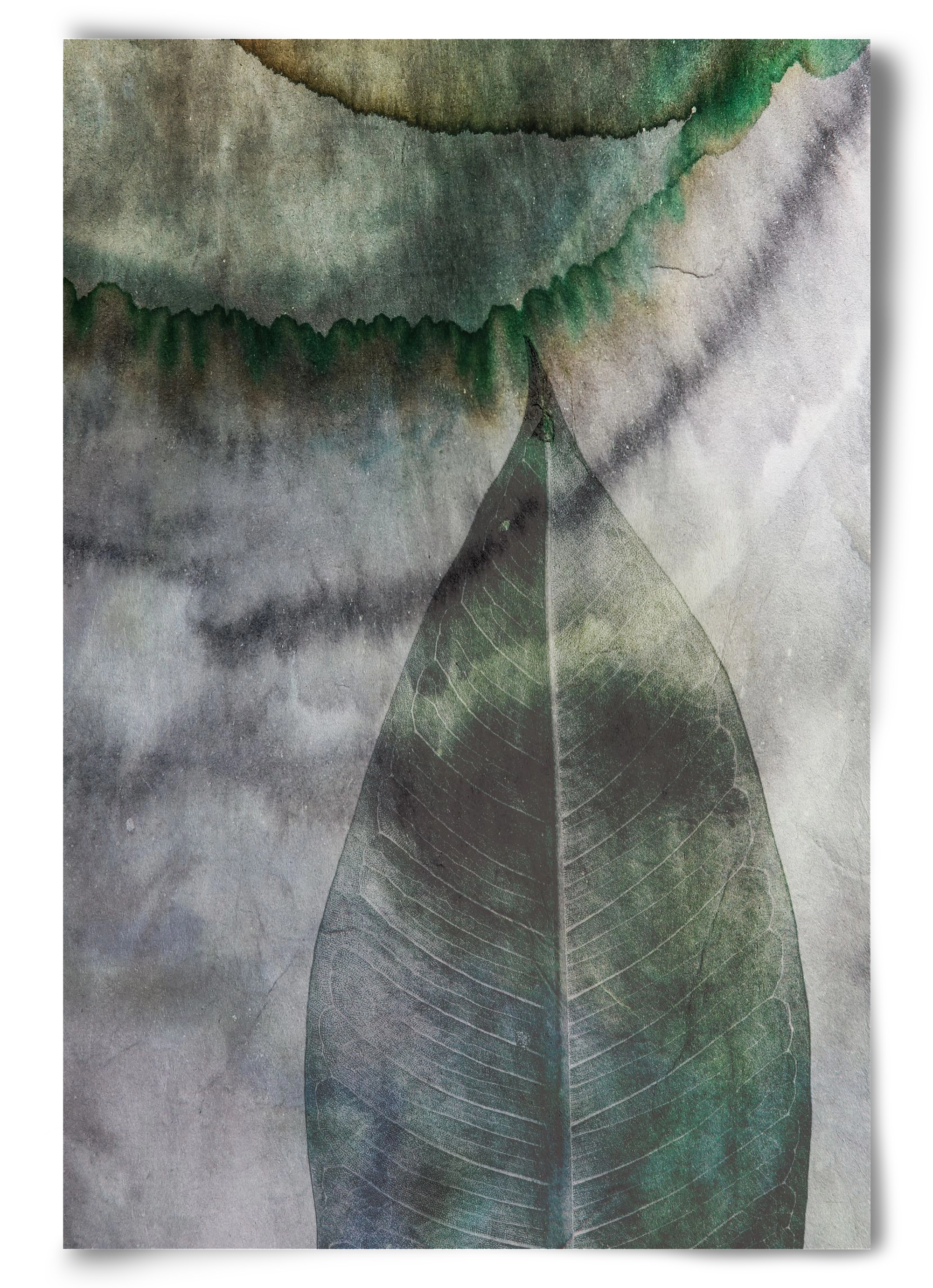 Natural selection II., 60x90 cm, Keret nélkül