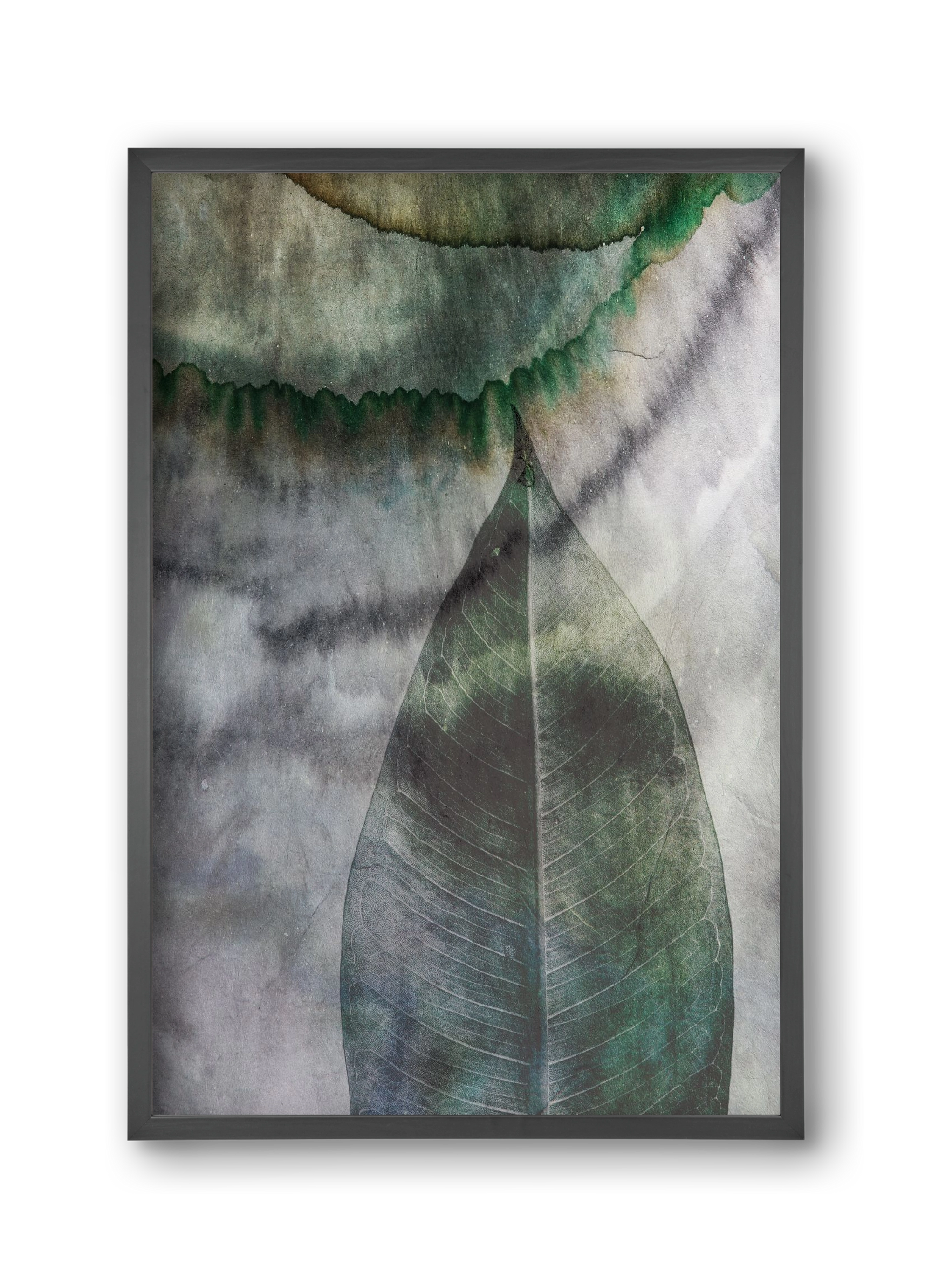 Natural selection II., 30x45 cm (30x45 cm), Fekete keret